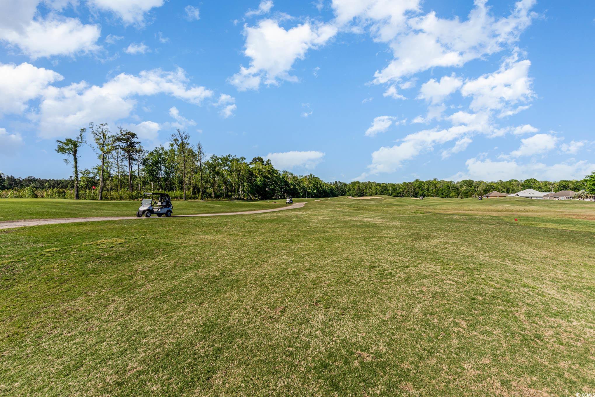 547 Canvas Back Ct., Longs, South Carolina image 31