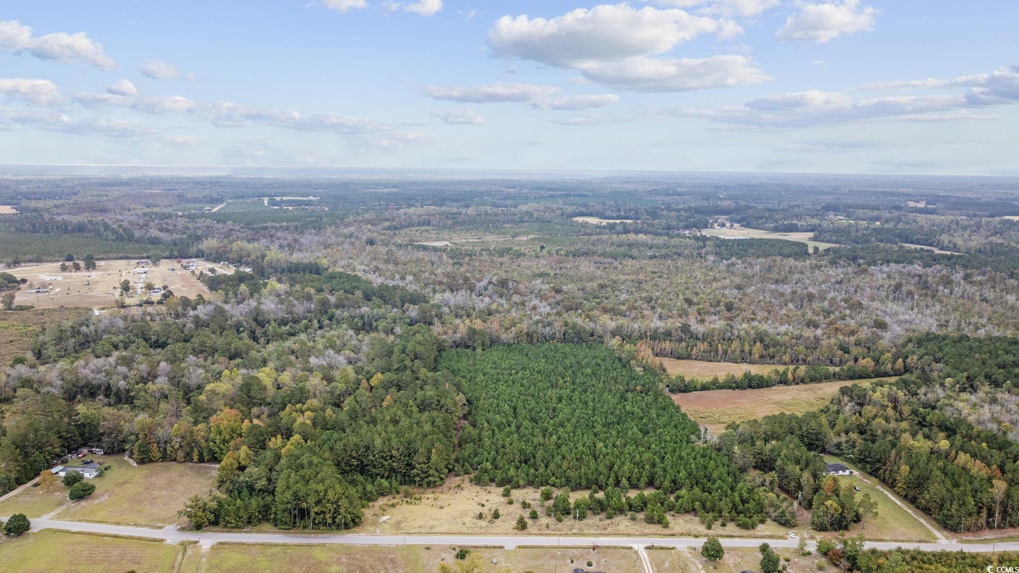 LOT 8 Creek Landing Rd Nichols, SC 29581