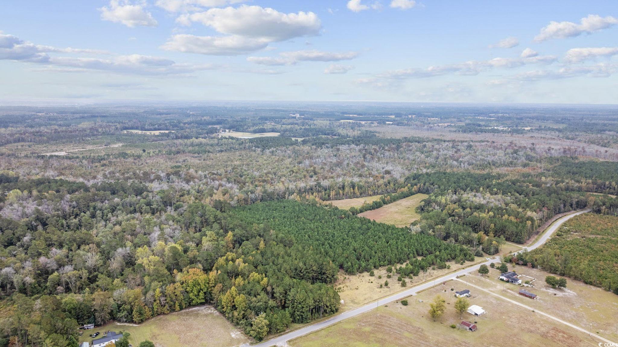 LOT 8 Creek Landing Rd, Nichols, South Carolina image 3