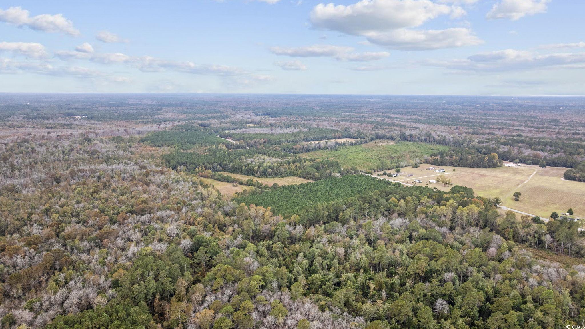 LOT 8 Creek Landing Rd, Nichols, South Carolina image 4