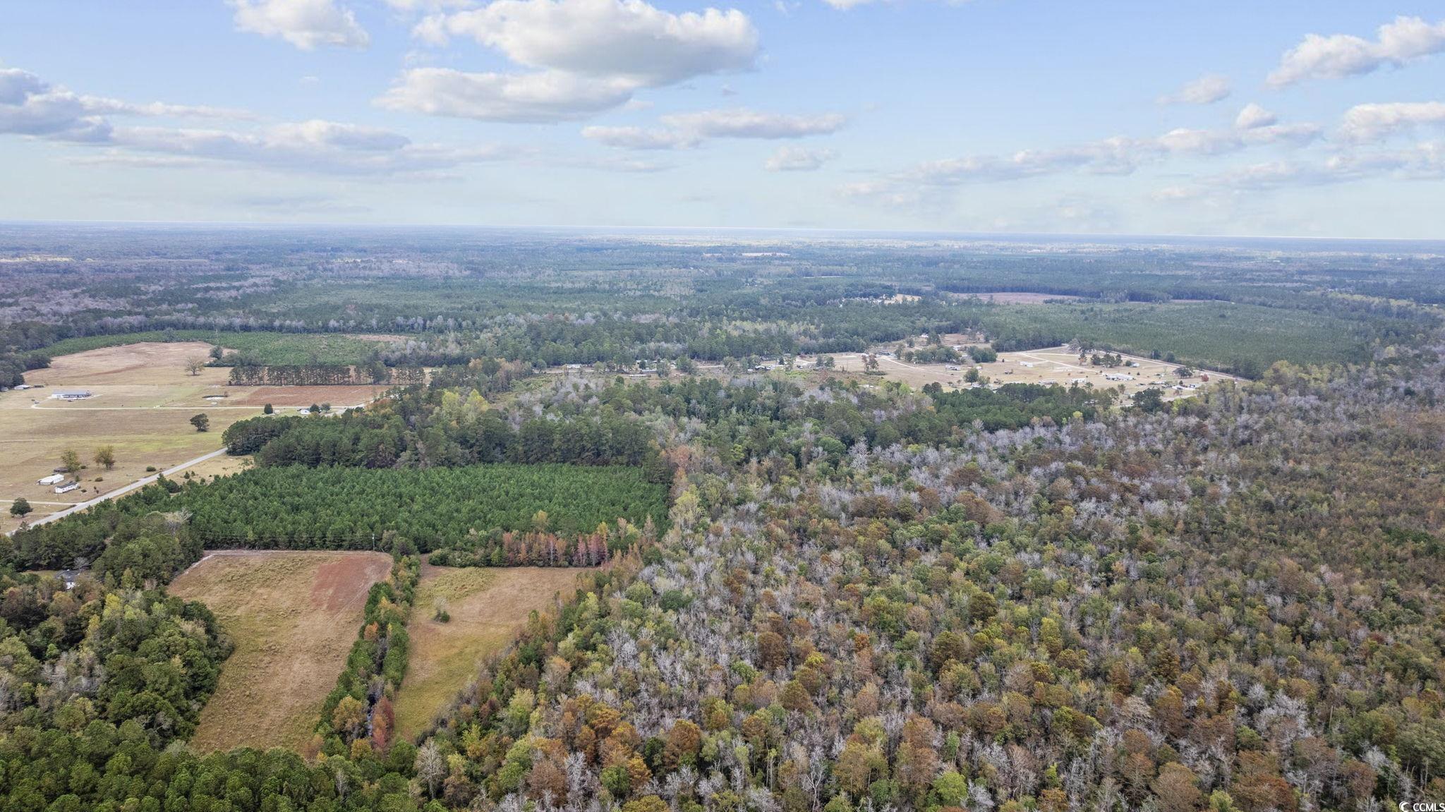 LOT 8 Creek Landing Rd, Nichols, South Carolina image 7