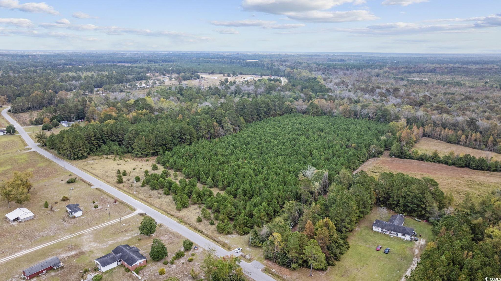 LOT 8 Creek Landing Rd, Nichols, South Carolina image 9