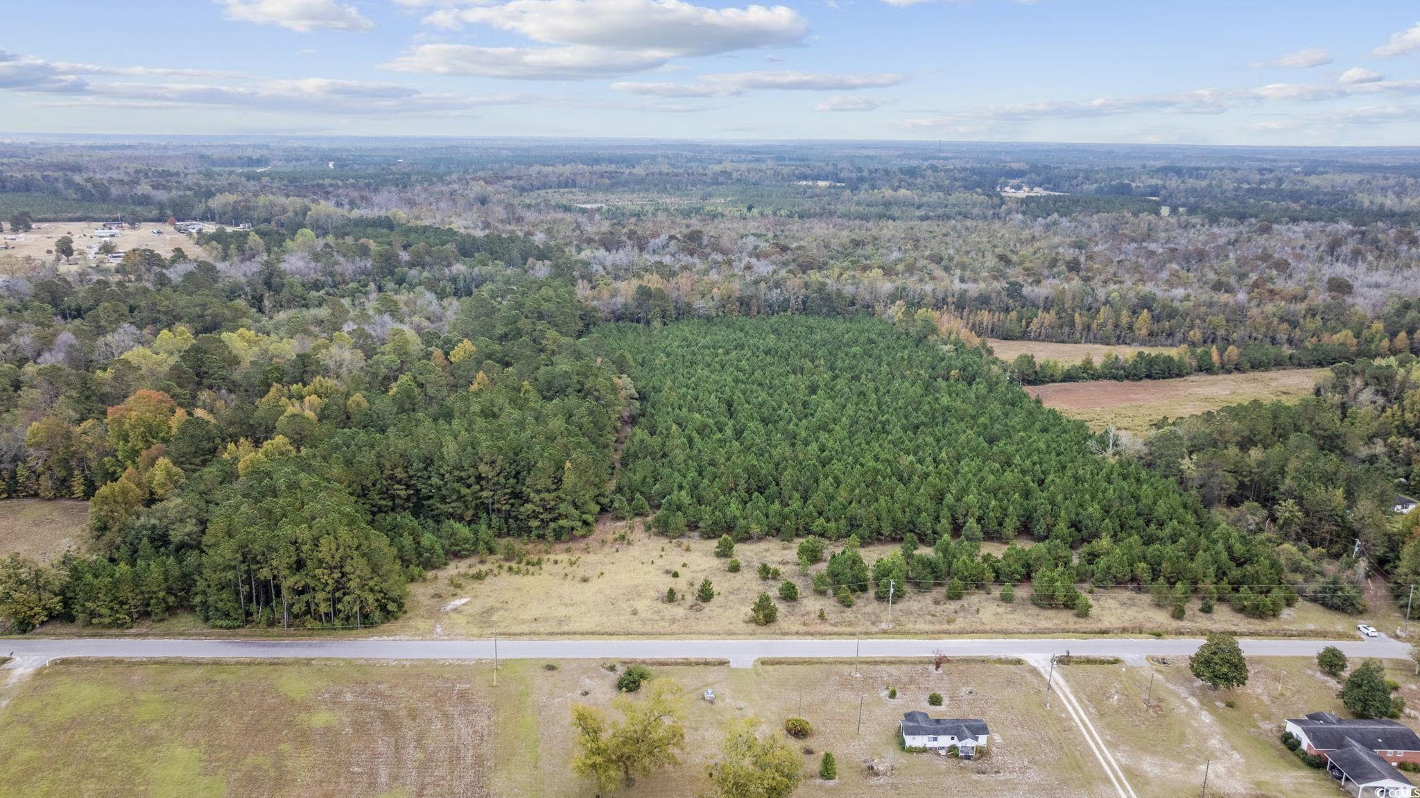 LOT 8 Creek Landing Rd, Nichols, South Carolina image 9