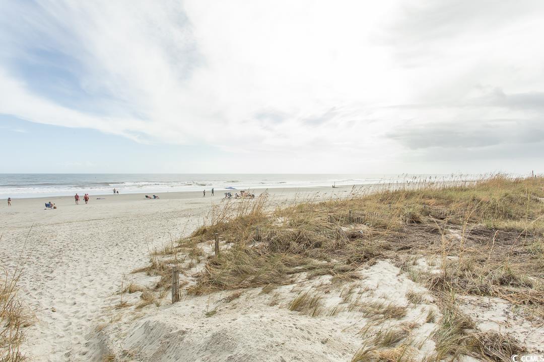 1401 S S Ocean Blvd. #703, North Myrtle Beach, South Carolina image 39