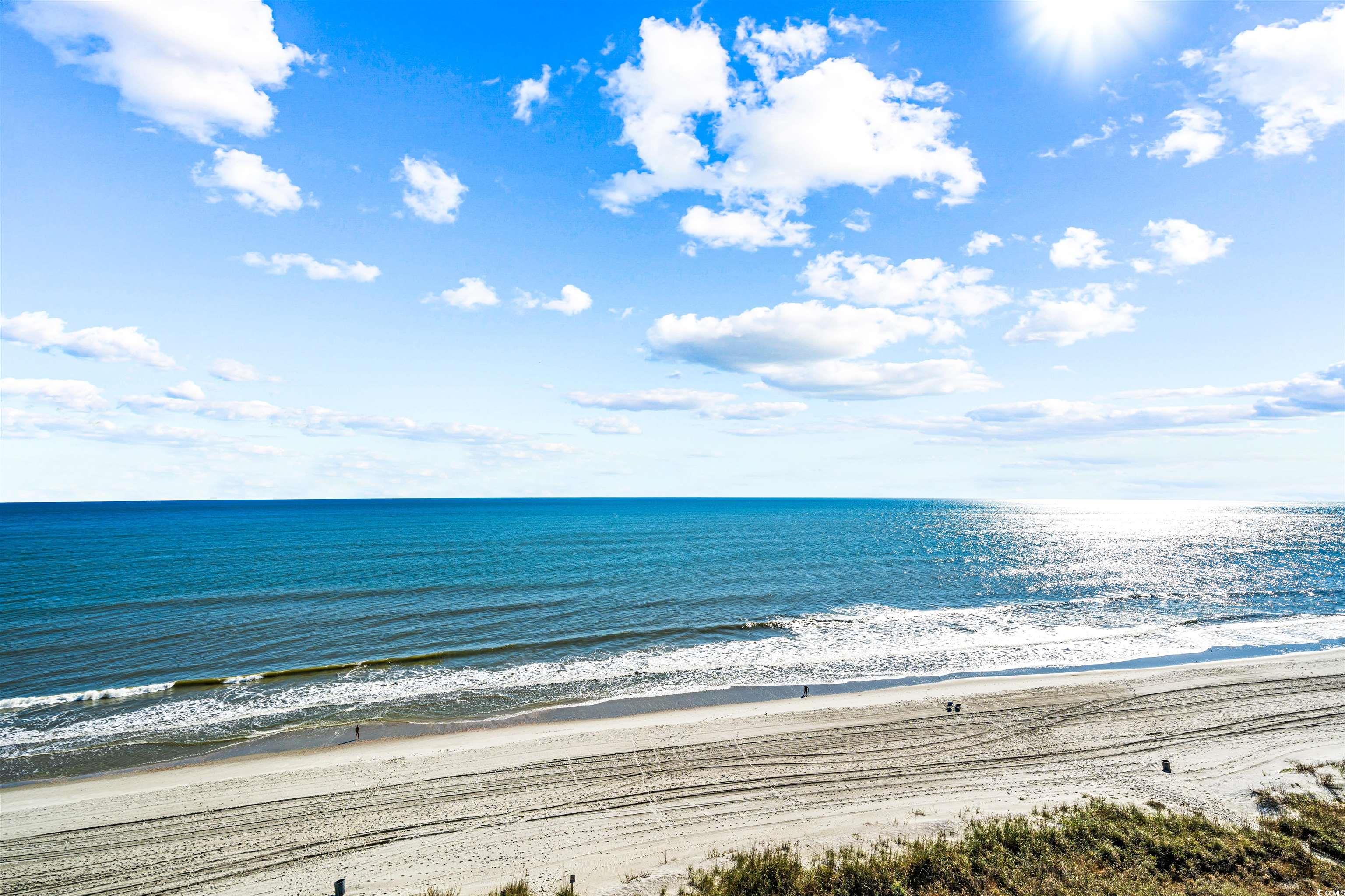 3513 S Ocean Blvd. #903, North Myrtle Beach, South Carolina image 31