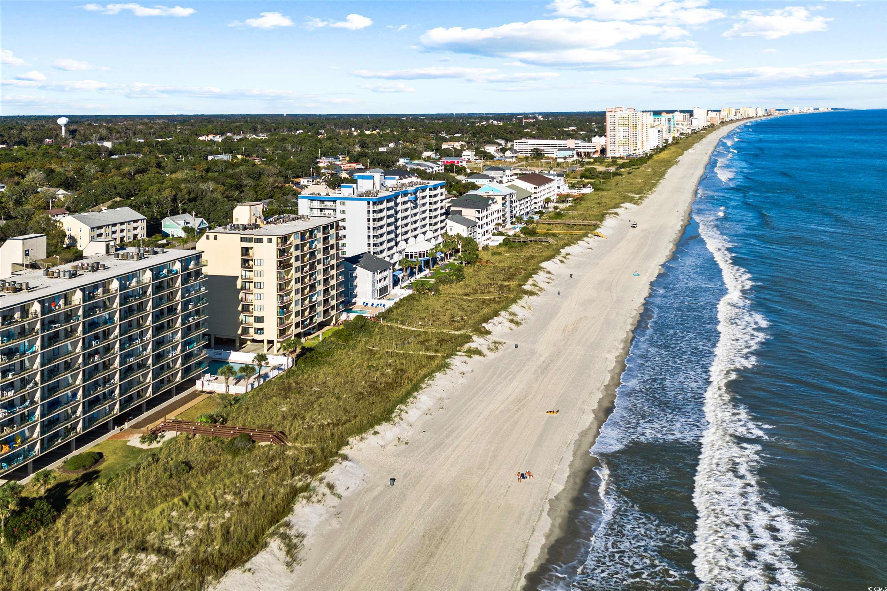 3513 S Ocean Blvd. #903, North Myrtle Beach, South Carolina image 36