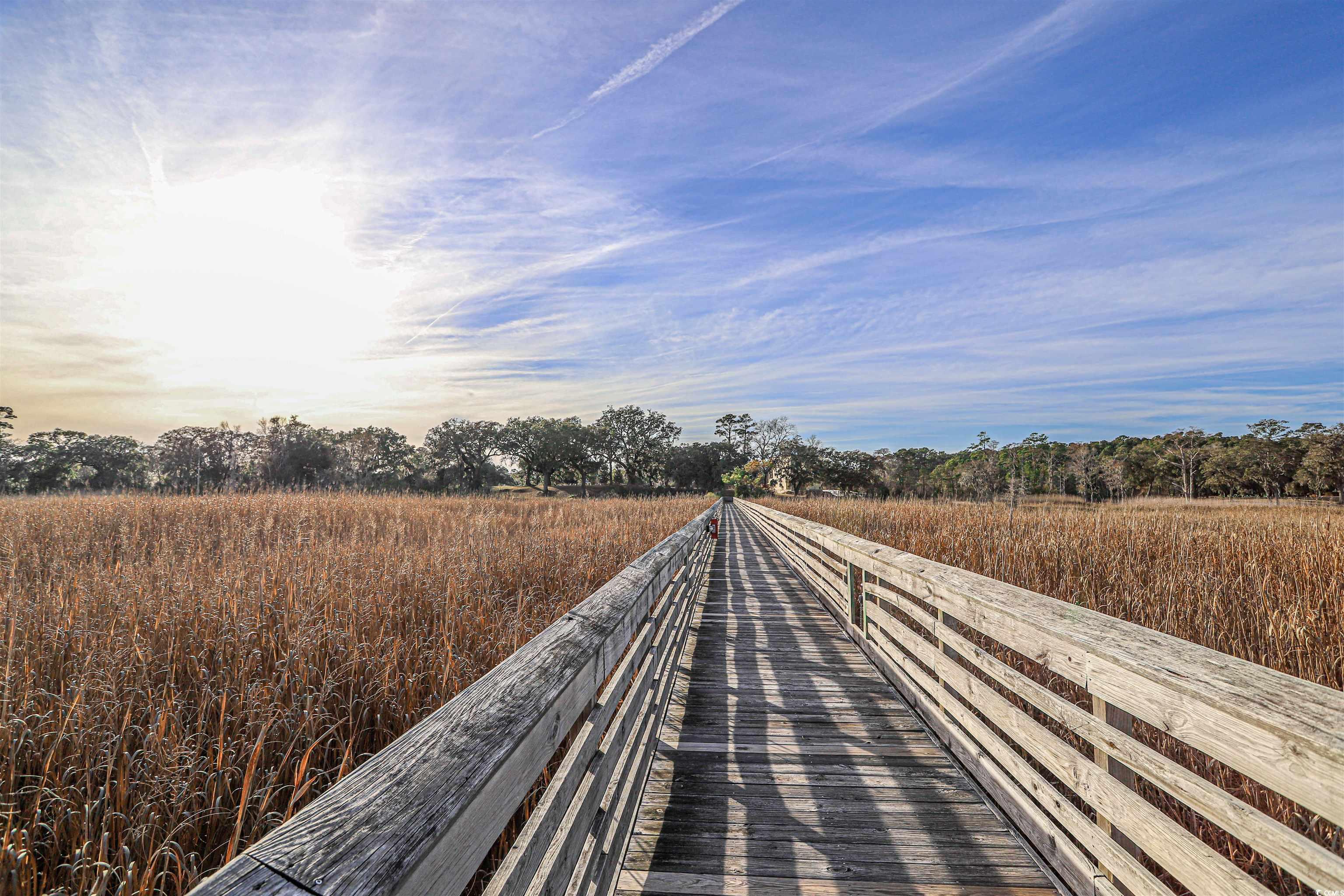 852 Comanders Island Rd., Georgetown, South Carolina image 10