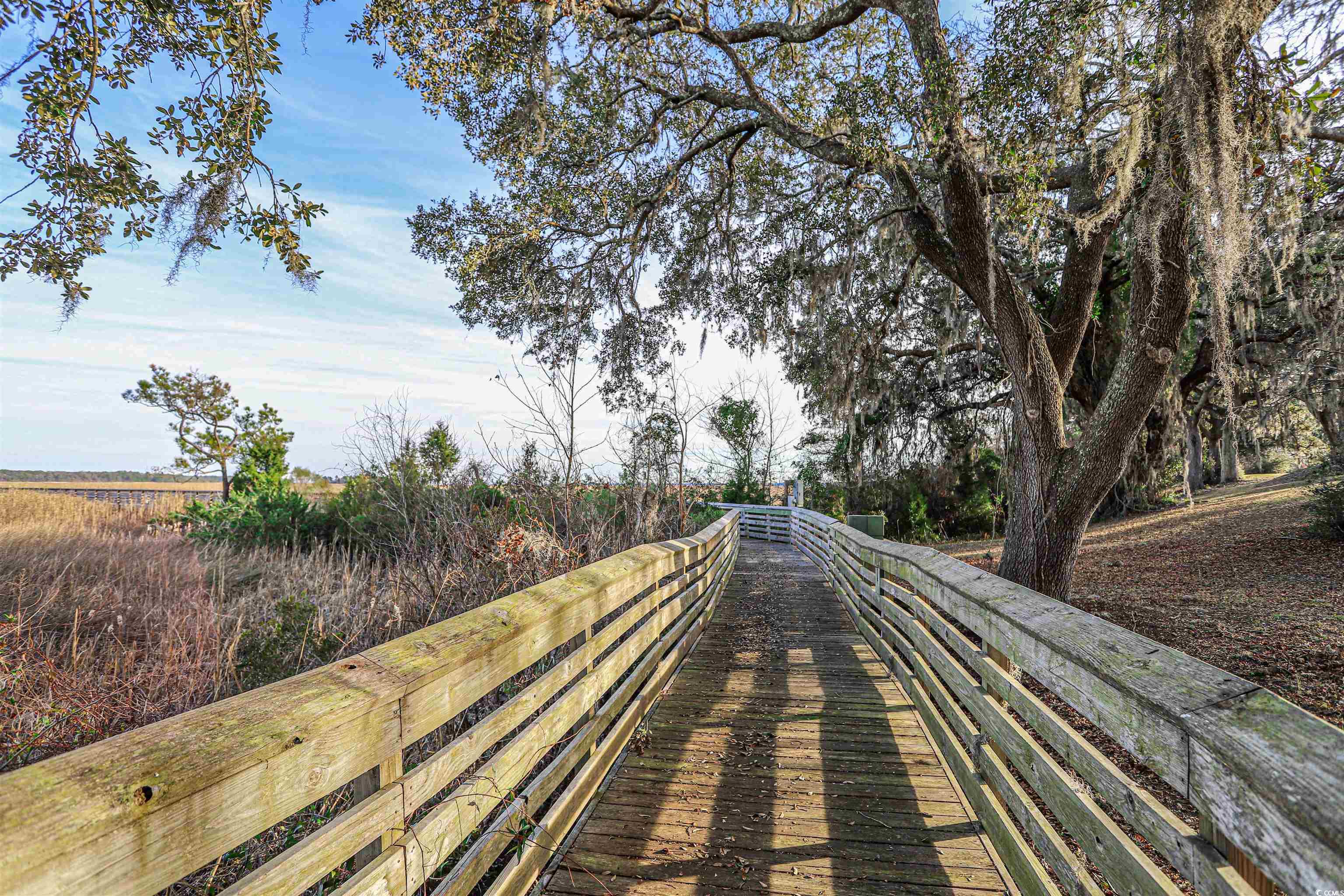 852 Comanders Island Rd., Georgetown, South Carolina image 8