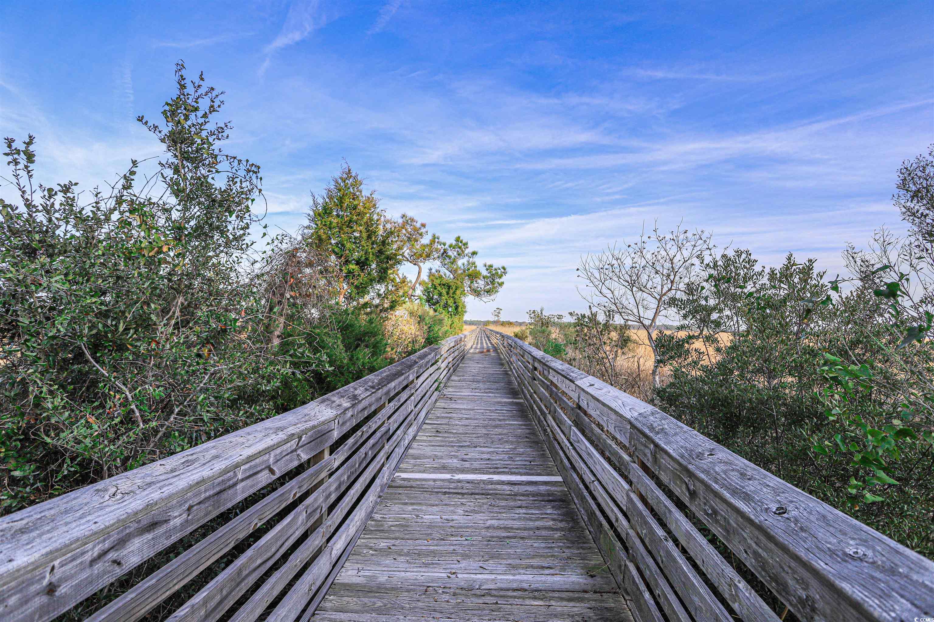 852 Comanders Island Rd., Georgetown, South Carolina image 9