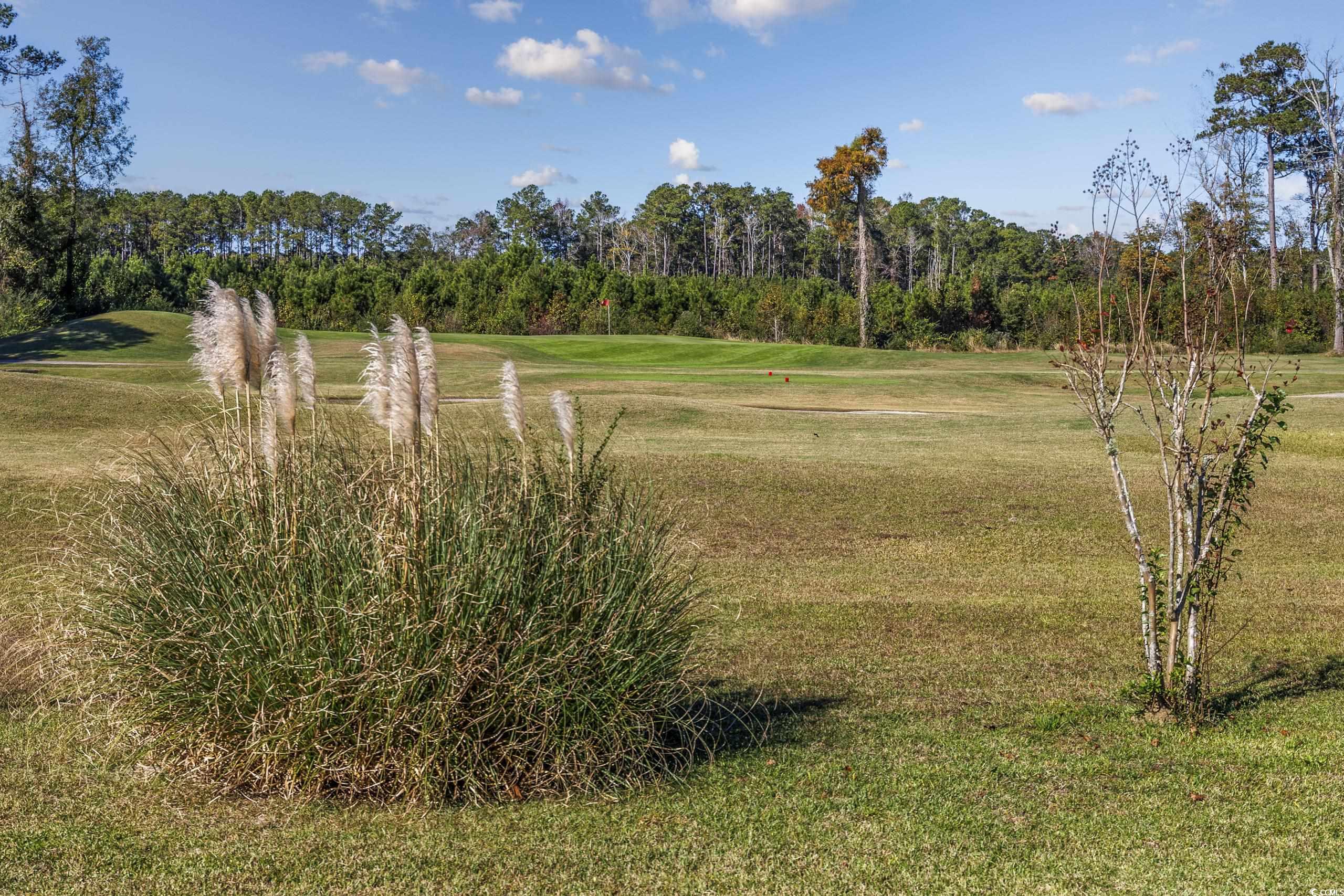 565 Bucks Trail, Longs, South Carolina image 35