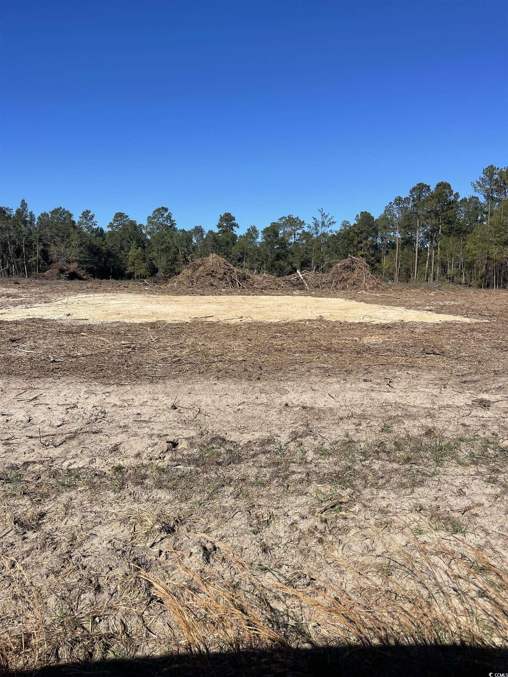 Lot 1 Highway 41 Marion, SC 29571