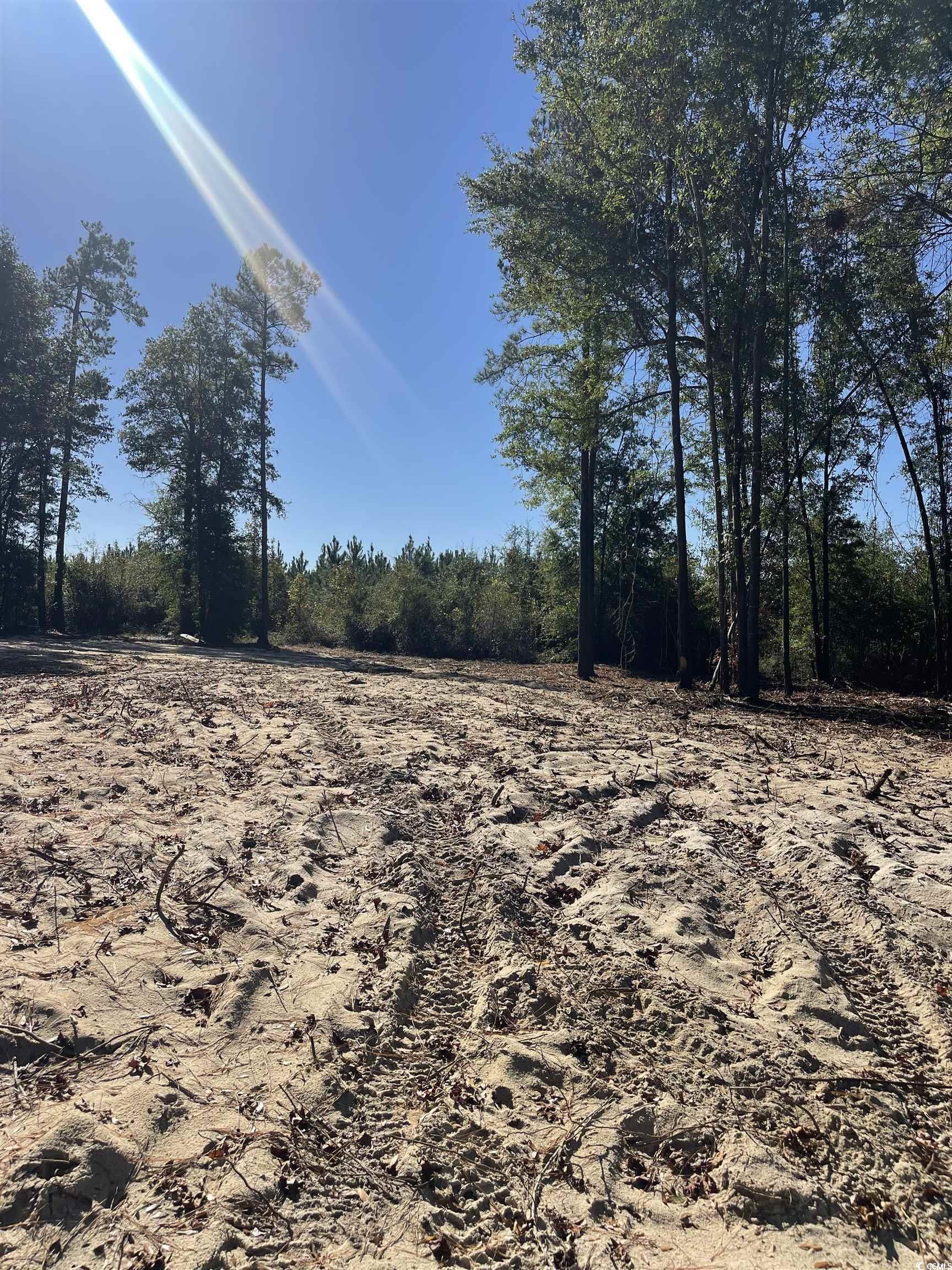 Lot 9 Marvin Ct. Marion, SC 29571