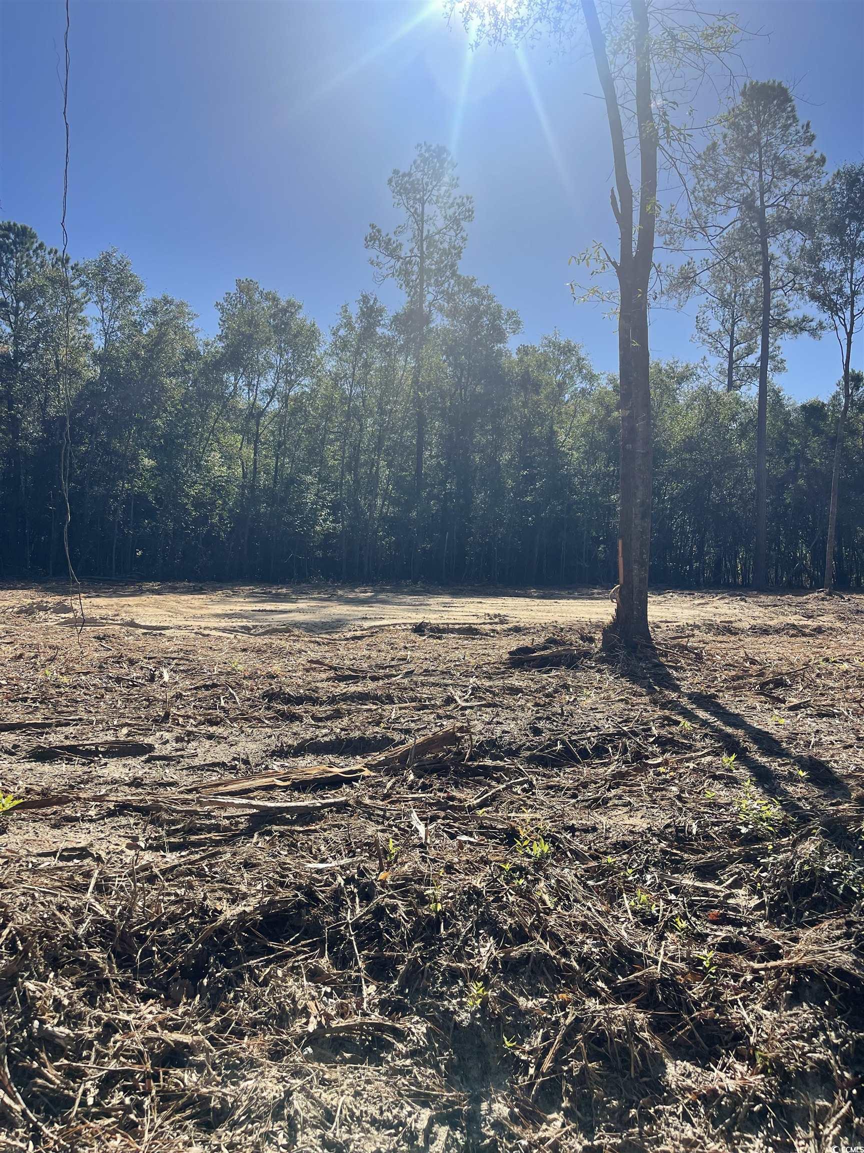 Lot 8 Marvin Ct. Marion, SC 29571