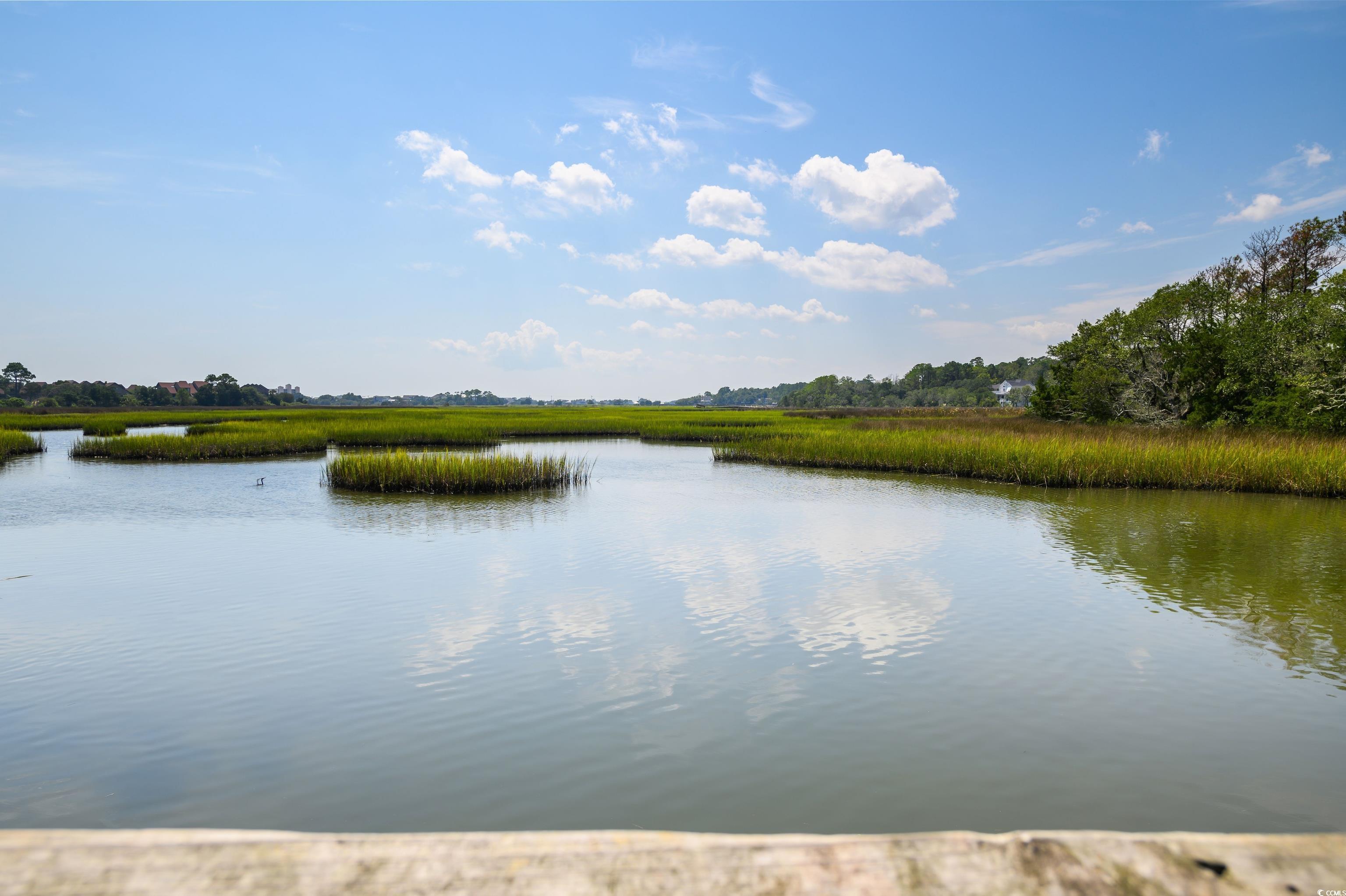 669 Retreat Beach Circle #C-2-D, Pawleys Island, South Carolina image 32