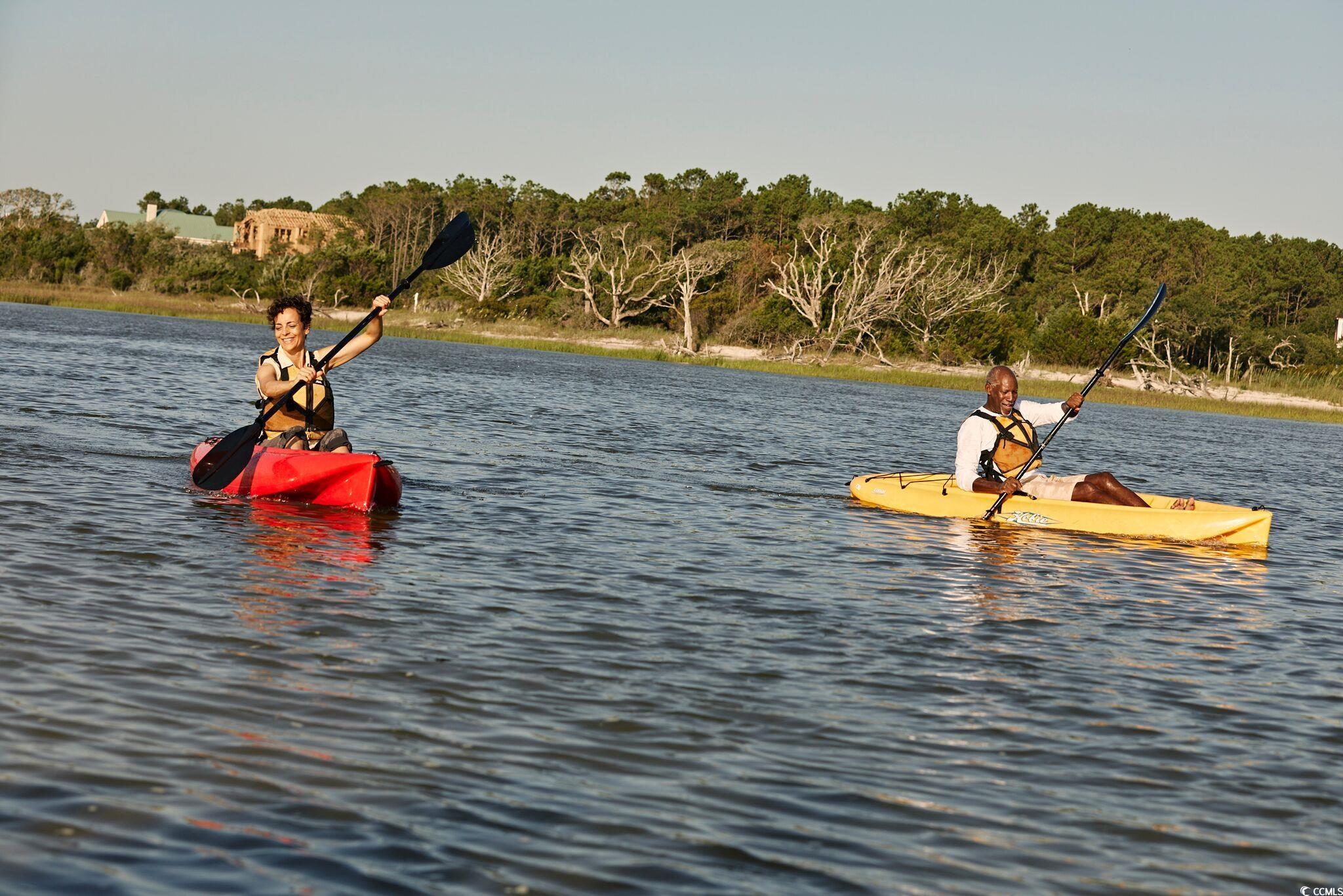 409 Ribbon Rail Way, Loris, South Carolina image 30