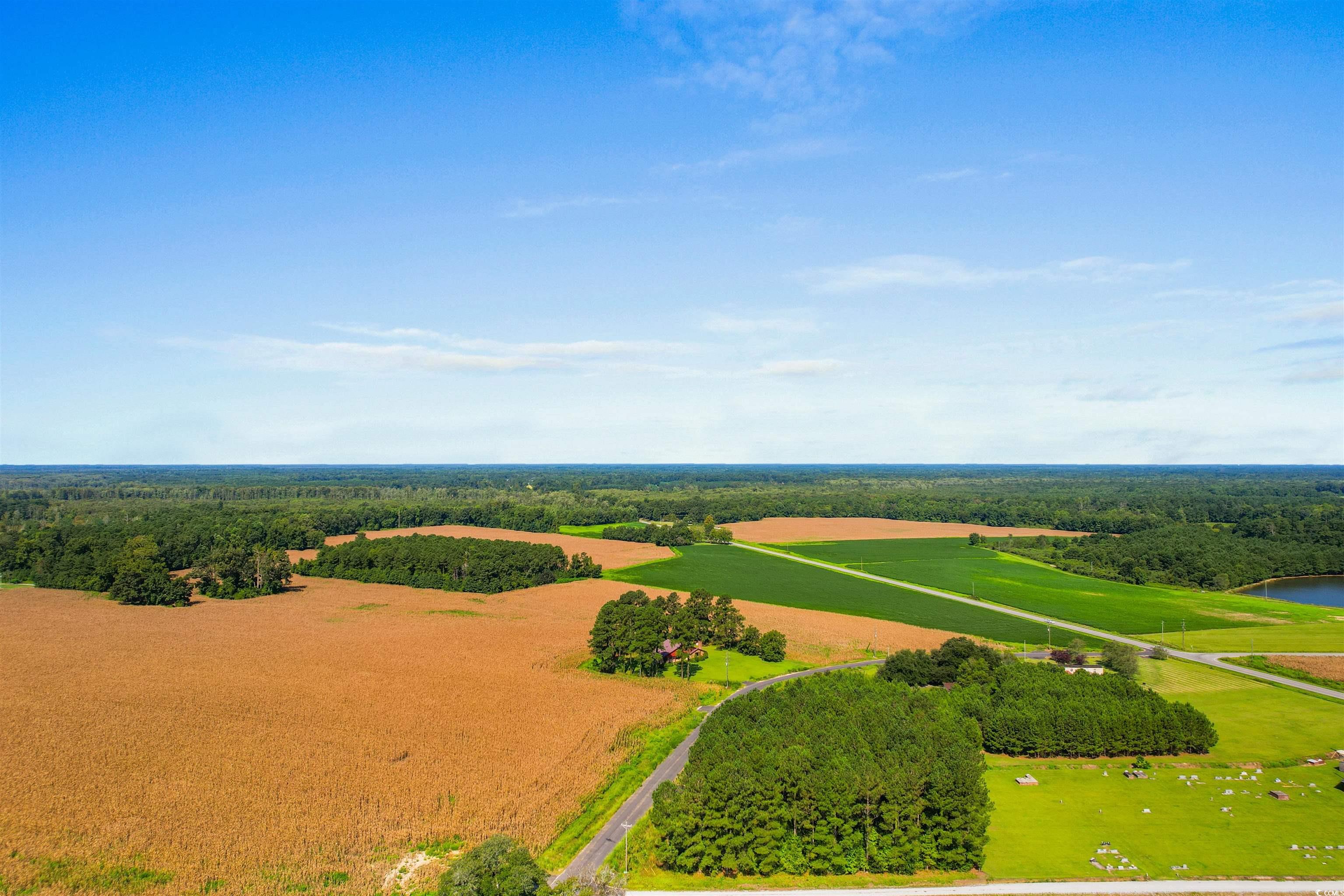 Lot 1A Fairlane Rd., Loris, South Carolina image 9