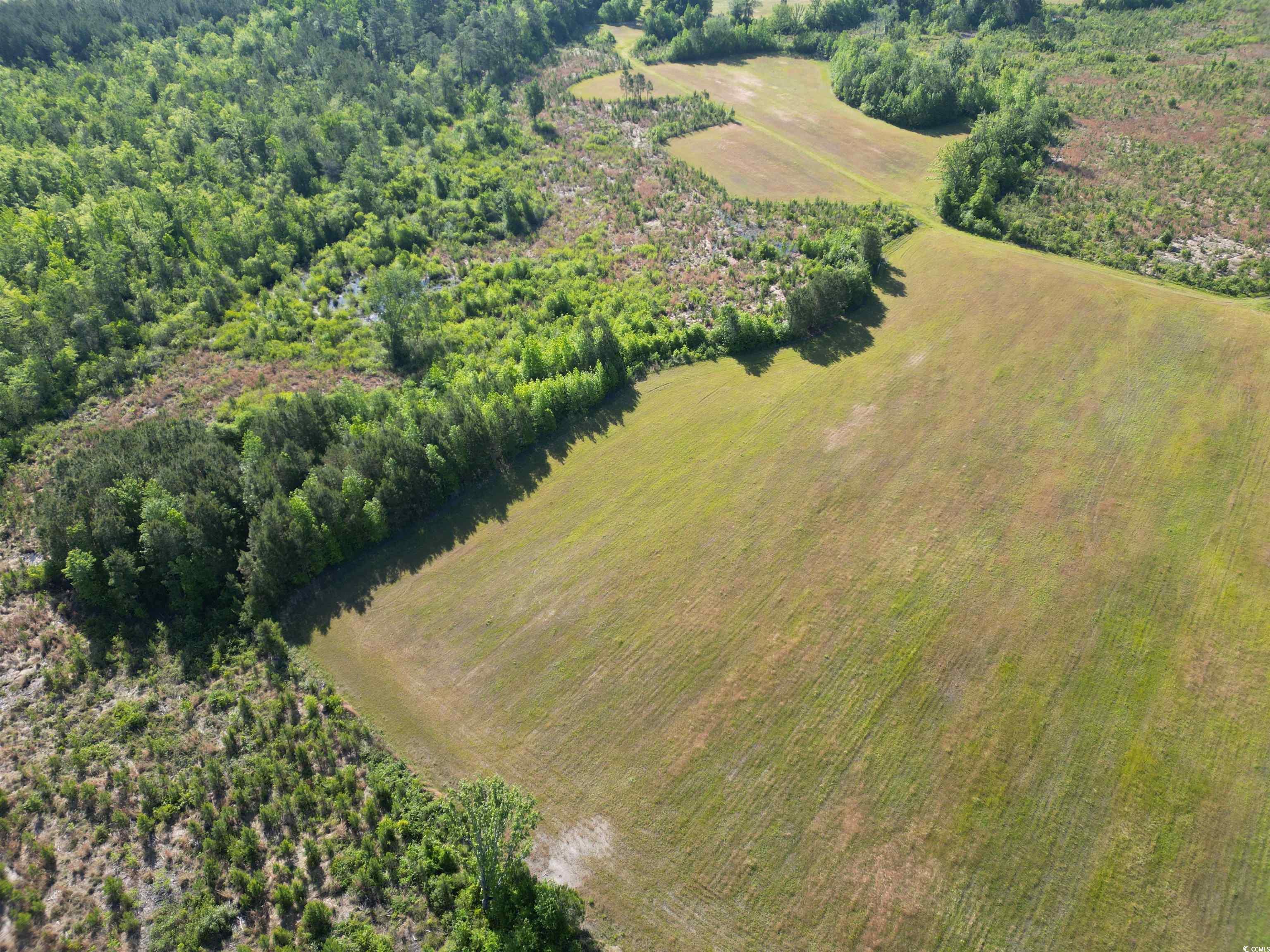 TBD Church Rd., Green Sea, South Carolina image 10