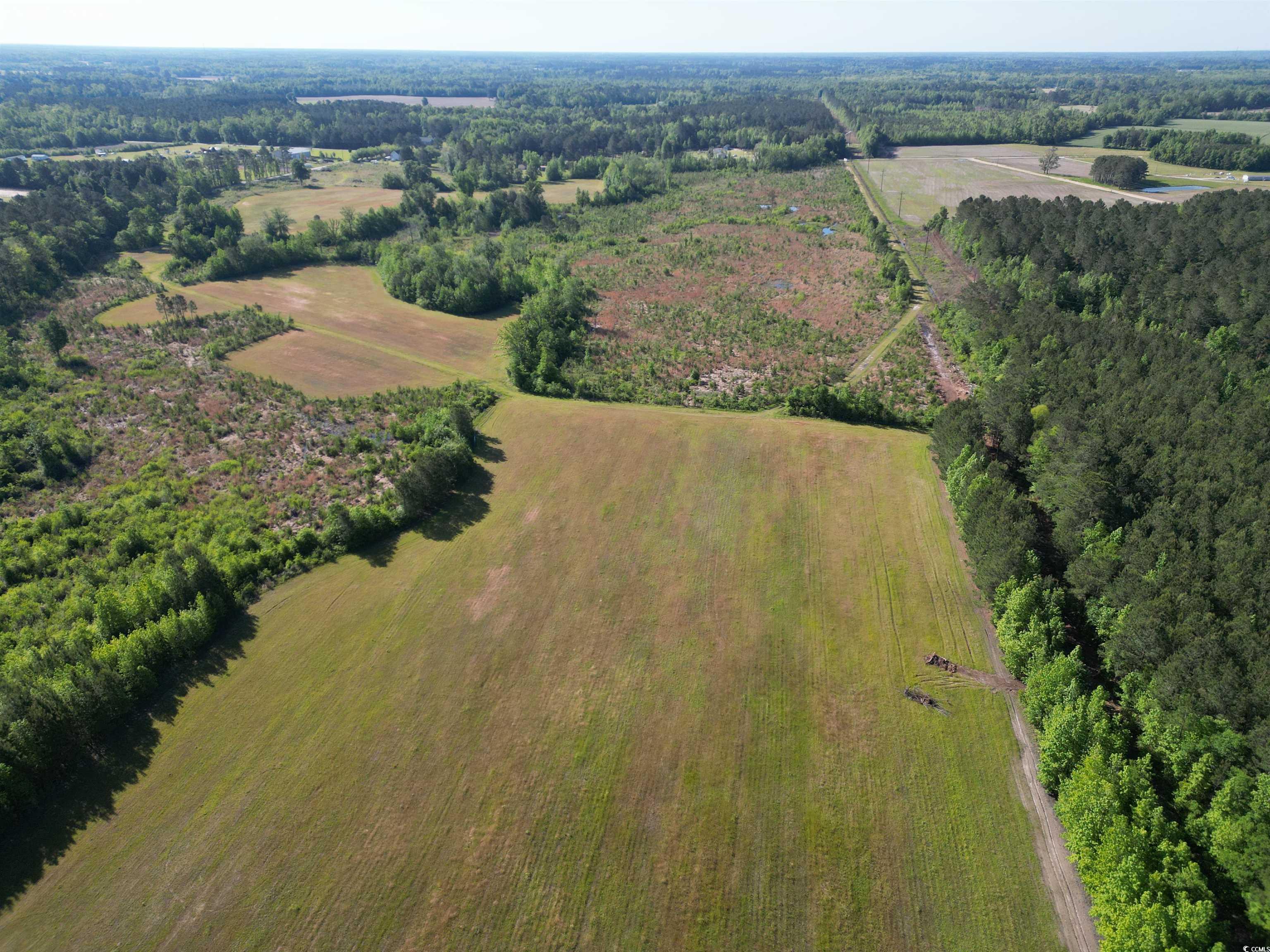 TBD Church Rd., Green Sea, South Carolina image 11