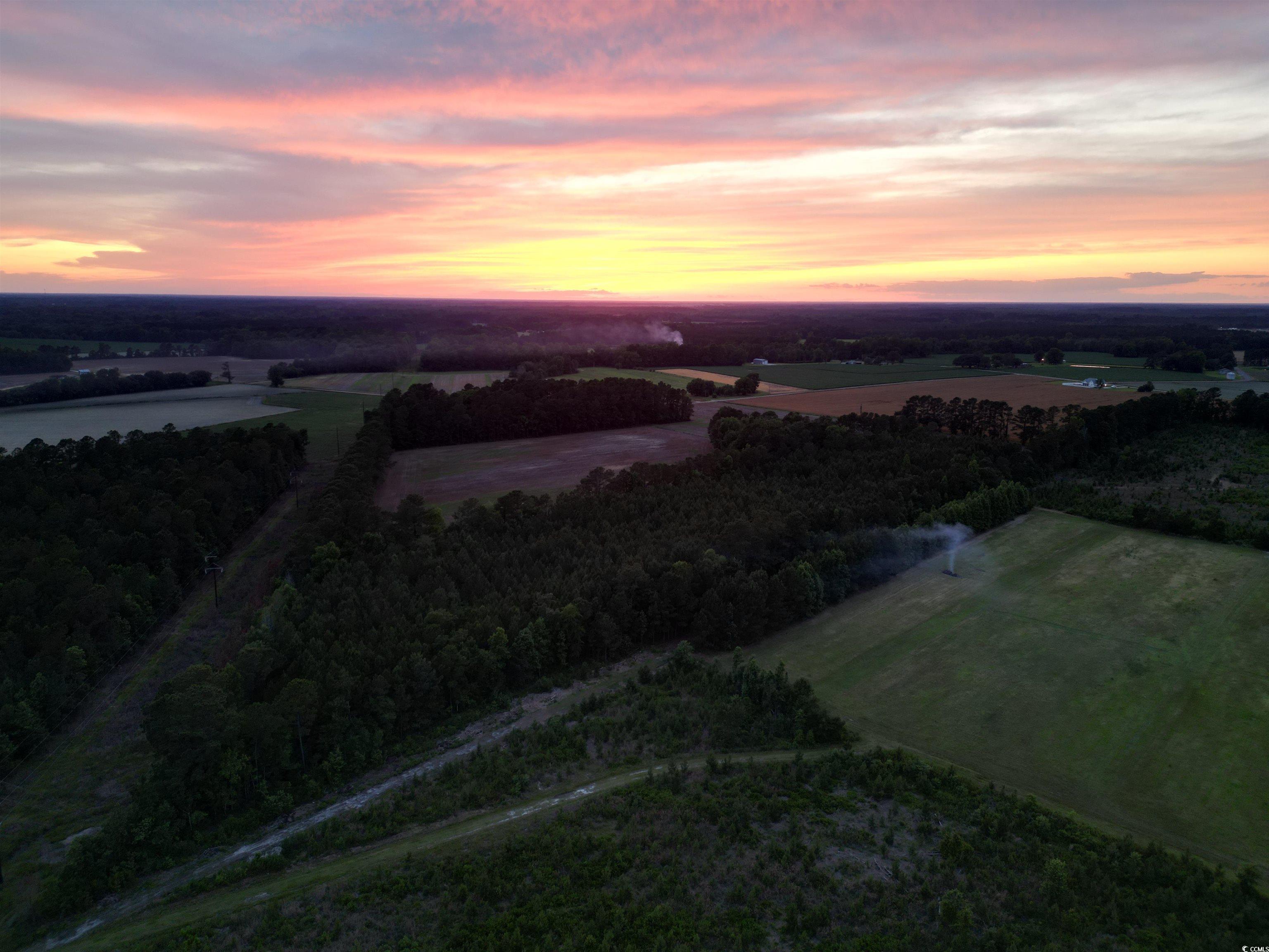 TBD Church Rd., Green Sea, South Carolina image 15