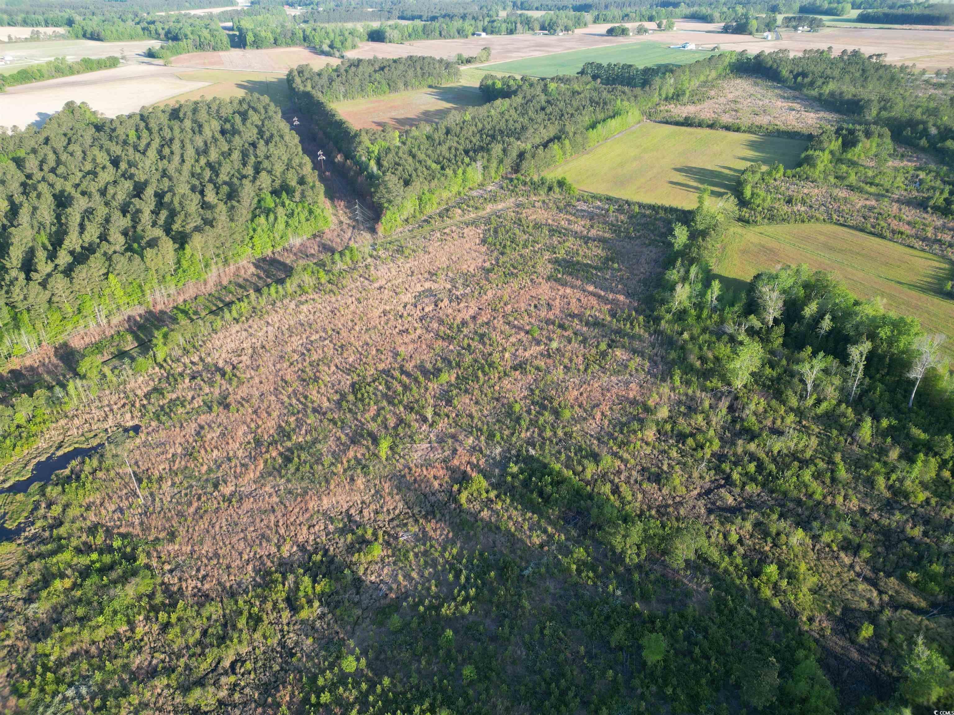 TBD Church Rd., Green Sea, South Carolina image 7