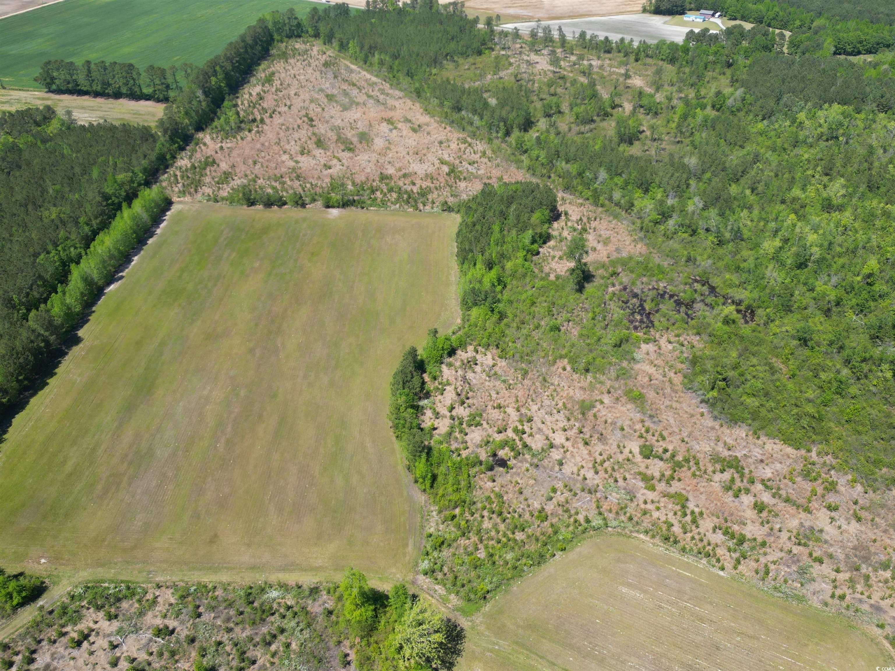 TBD Church Rd., Green Sea, South Carolina image 8