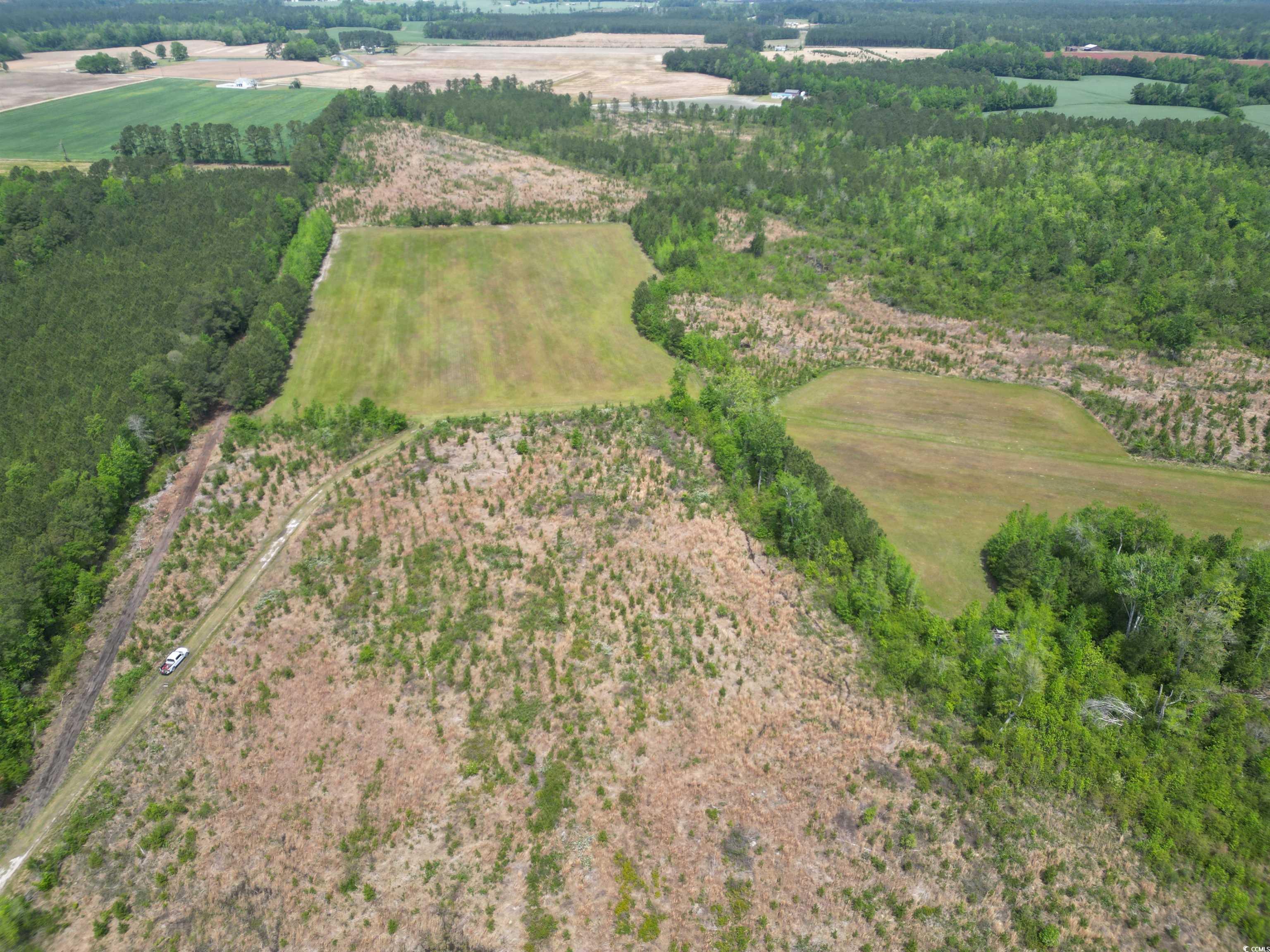 TBD Church Rd., Green Sea, South Carolina image 9