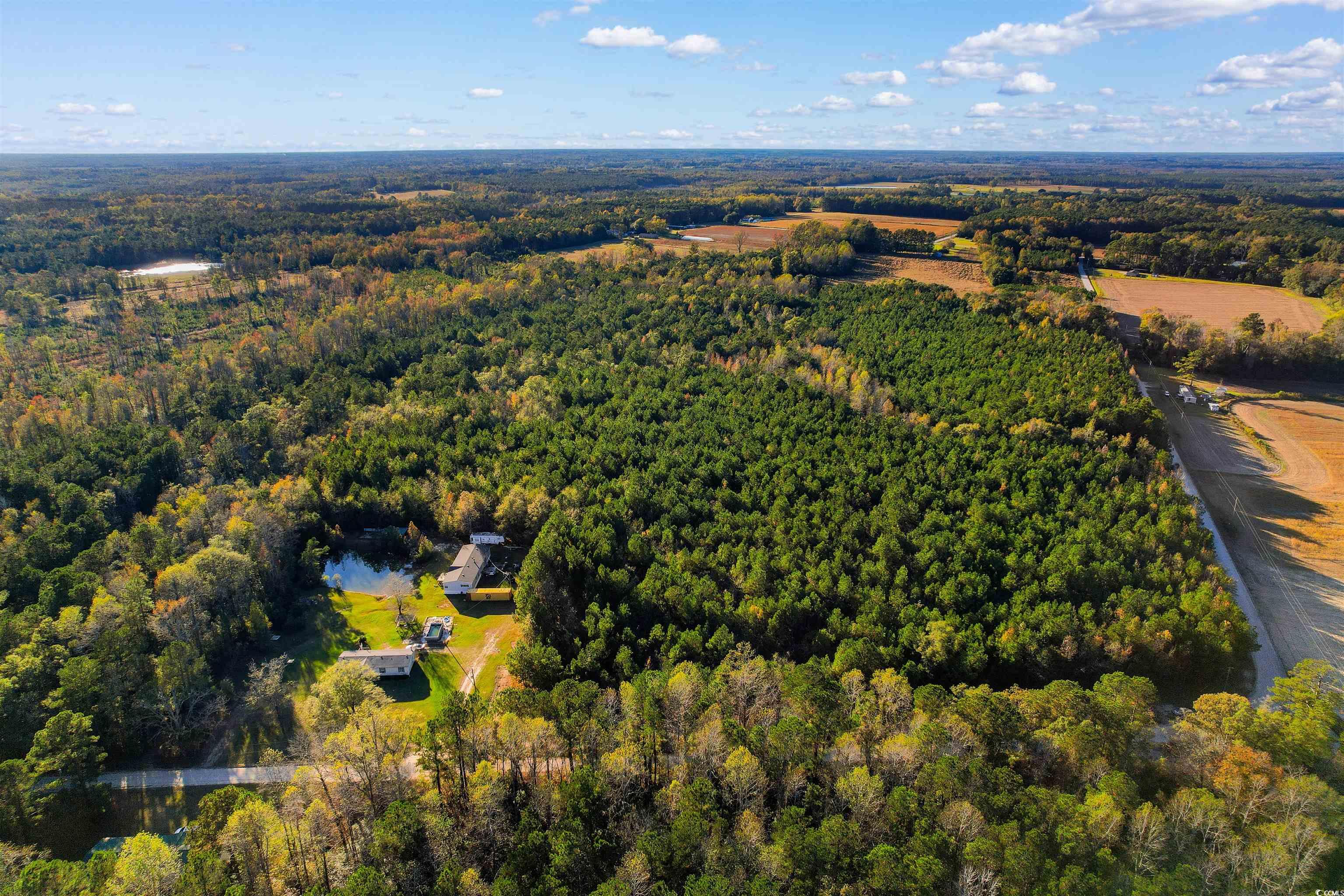 TBD-lot 4 Oneal Rd, Loris, South Carolina image 12