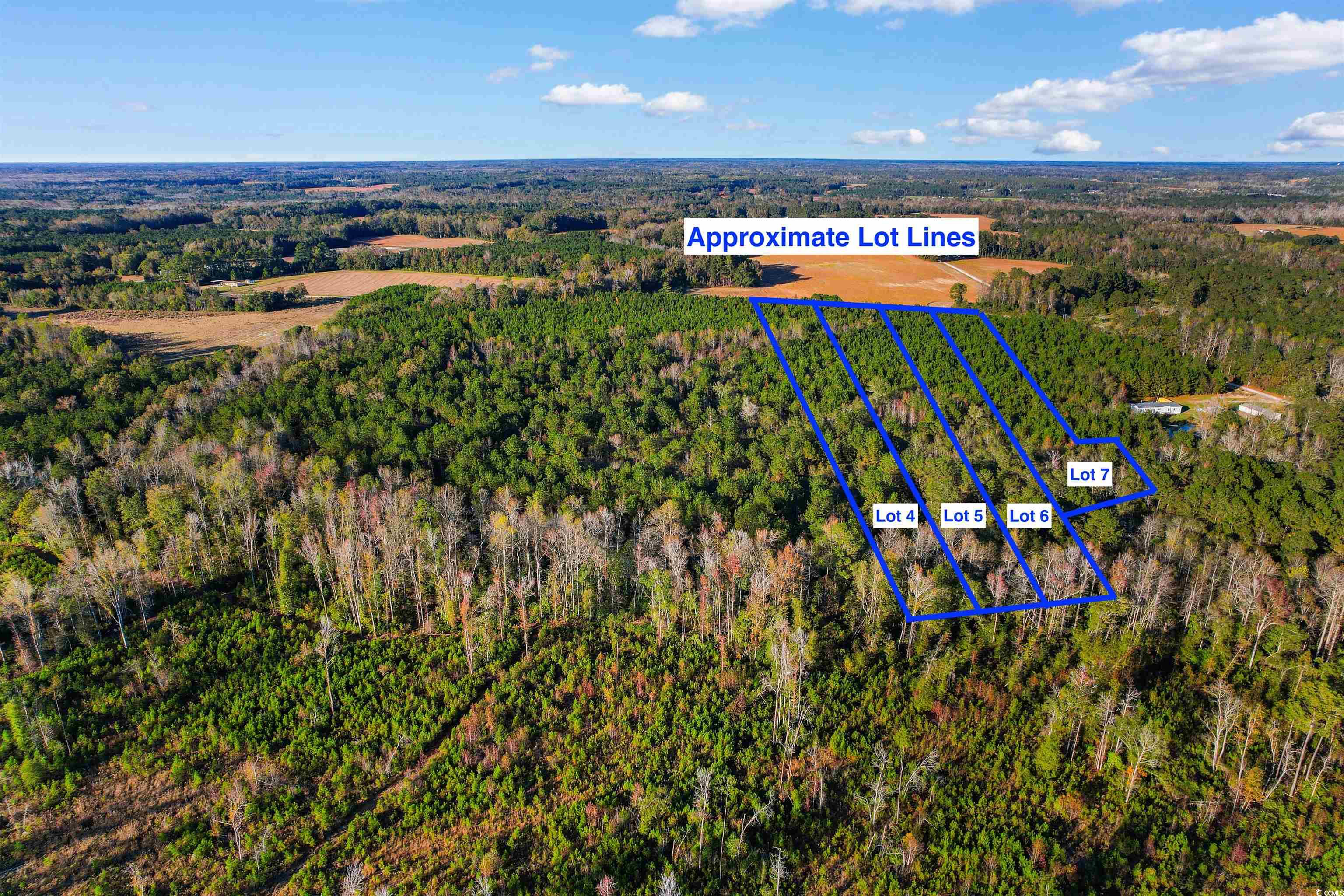 TBD-lot 4 Oneal Rd, Loris, South Carolina image 4