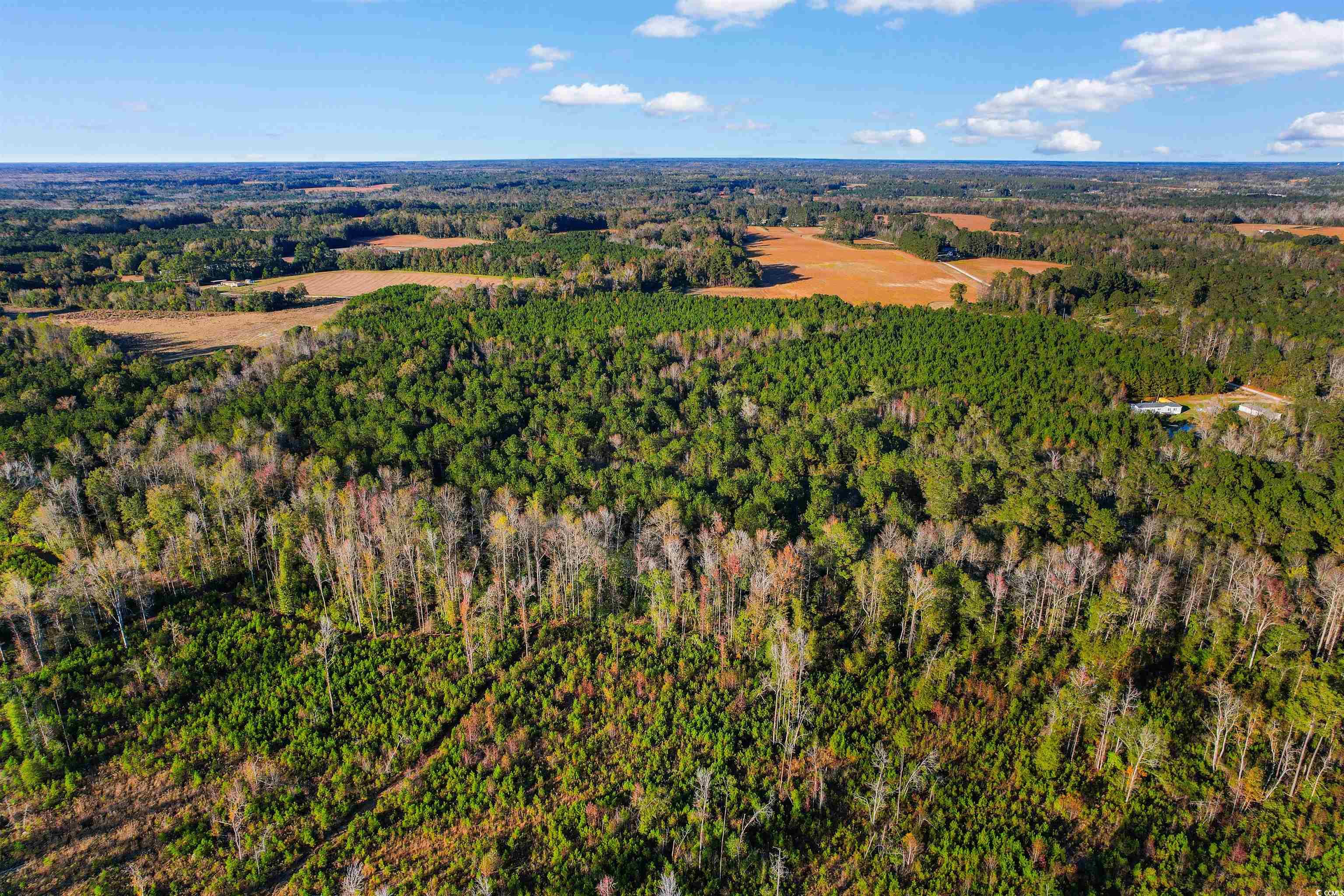 TBD-lot 5 Oneal Rd, Loris, South Carolina image 10