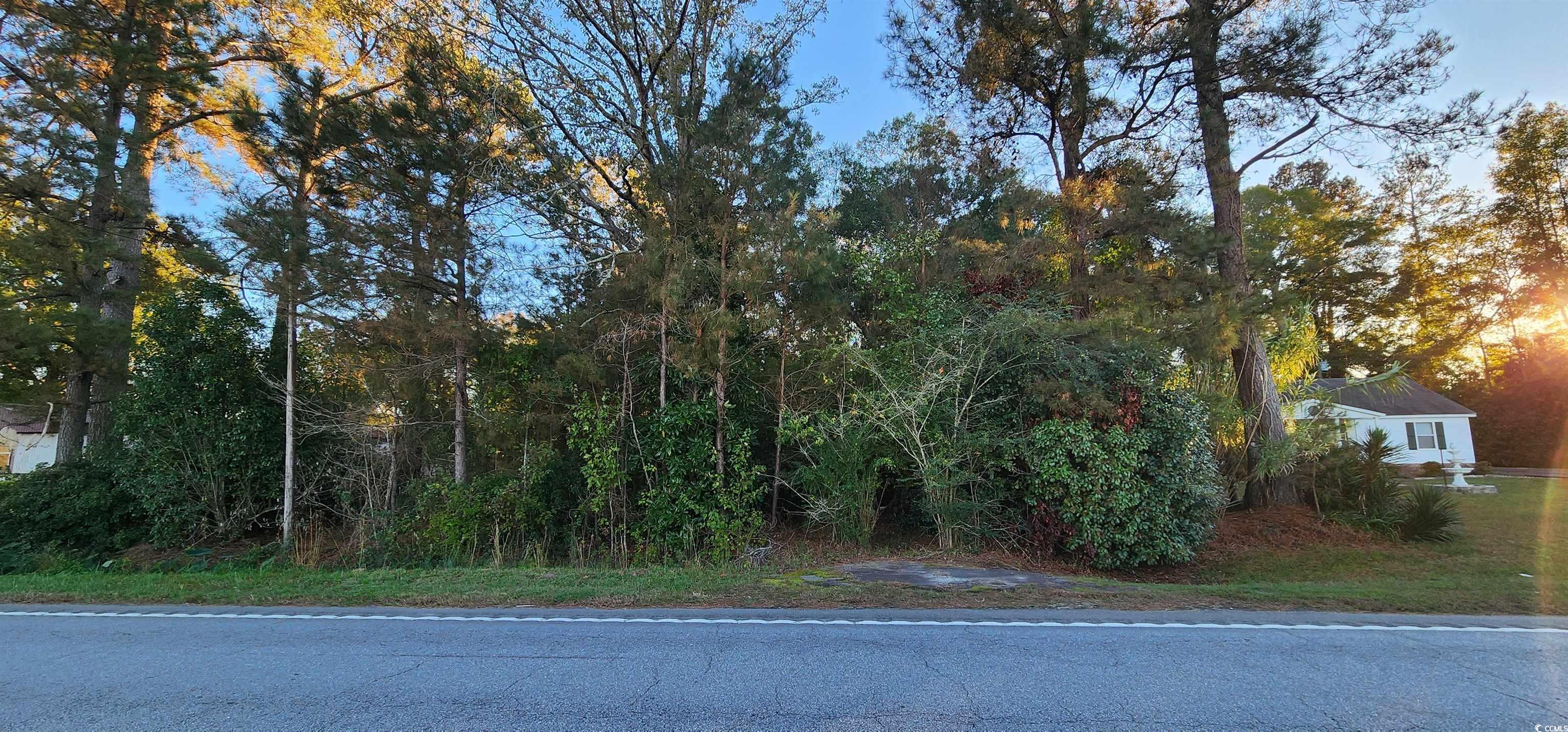 412 E Friendfield Rd., Coward, South Carolina image 1