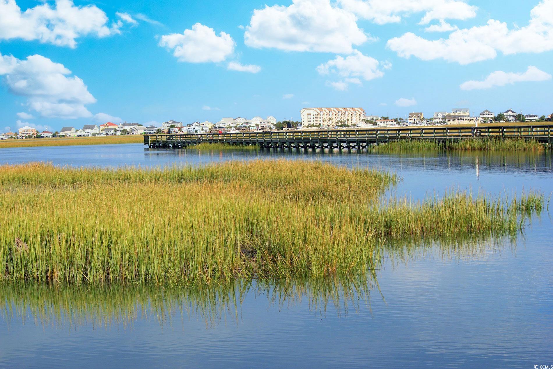 115 Veranda Way #6-A, Murrells Inlet, South Carolina image 37