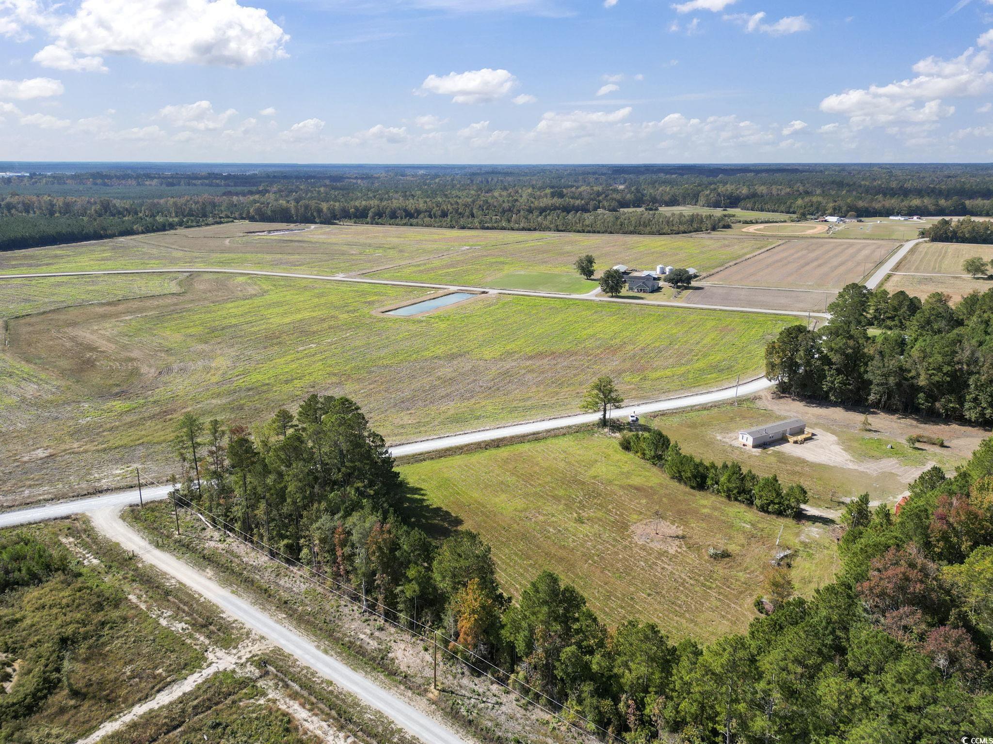 TBD Fries Bay Rd., Loris, South Carolina image 10