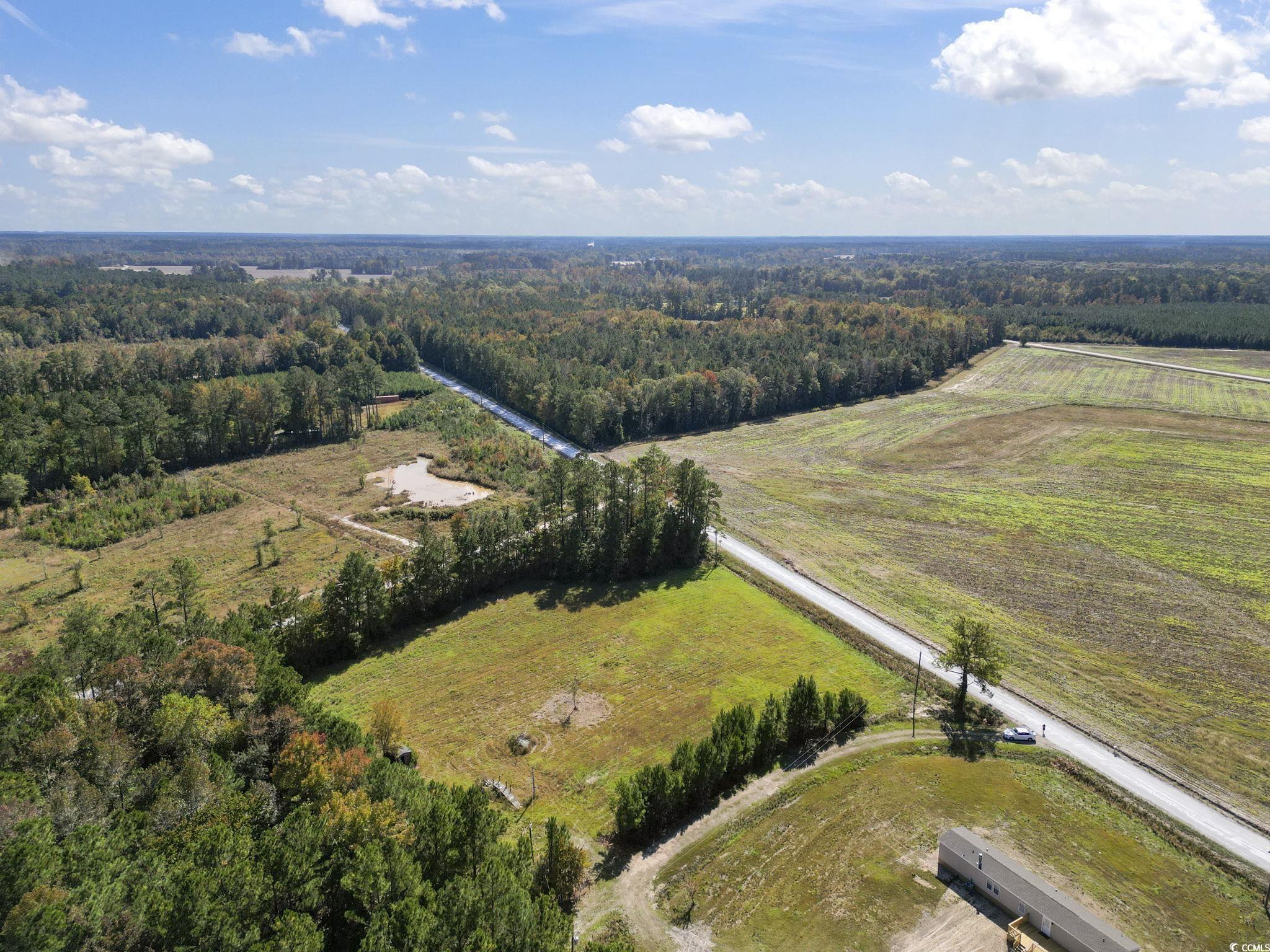 TBD Fries Bay Rd., Loris, South Carolina image 12