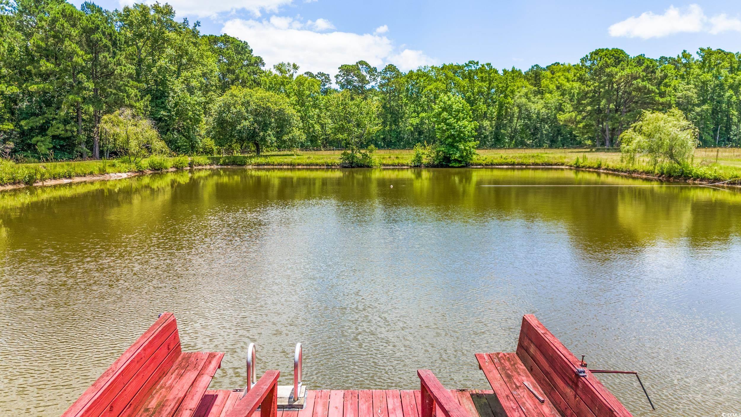 1961 Bright Rd., Little River, South Carolina image 35