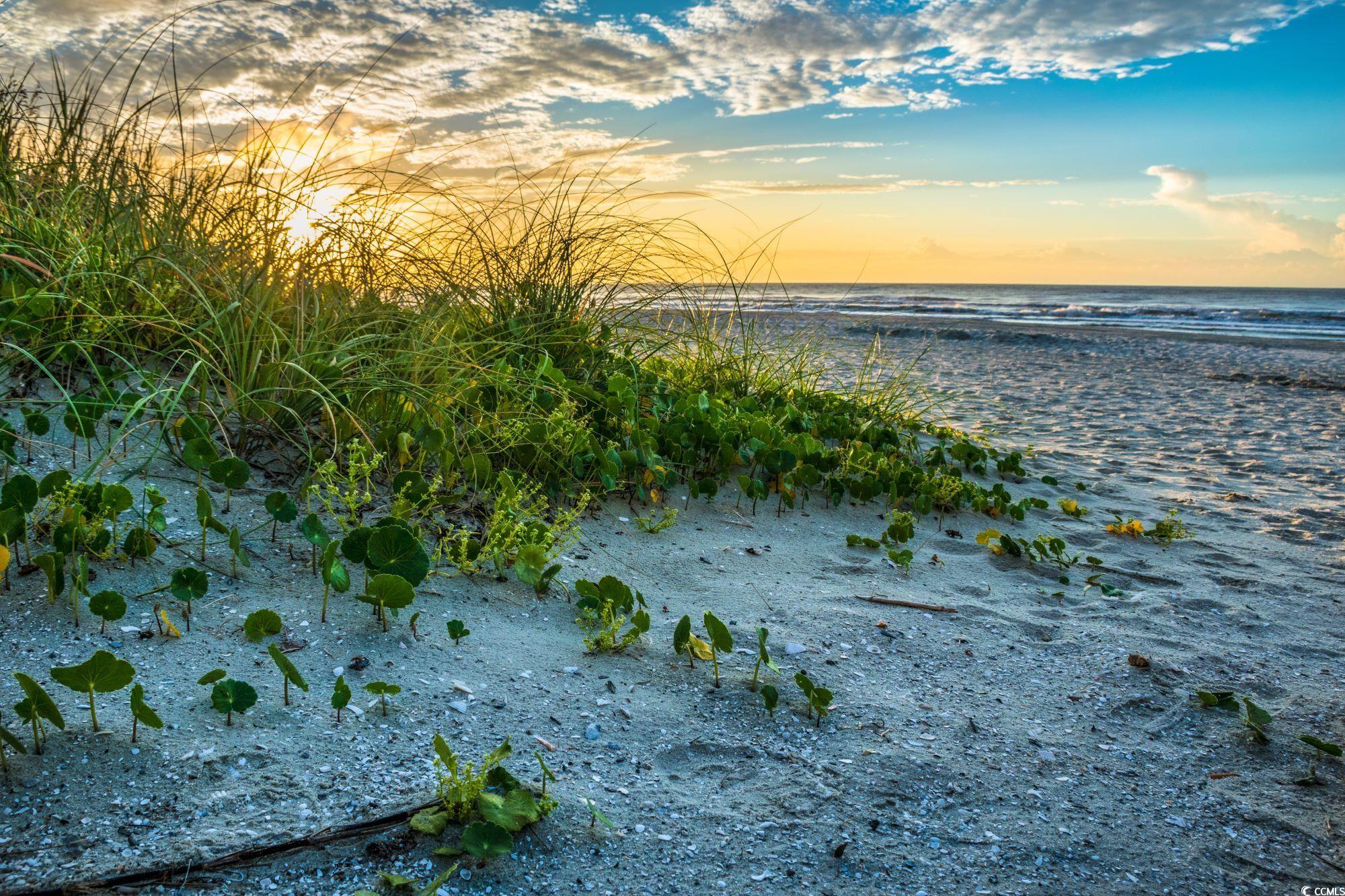 1904 Seachase Way, North Myrtle Beach, South Carolina image 33