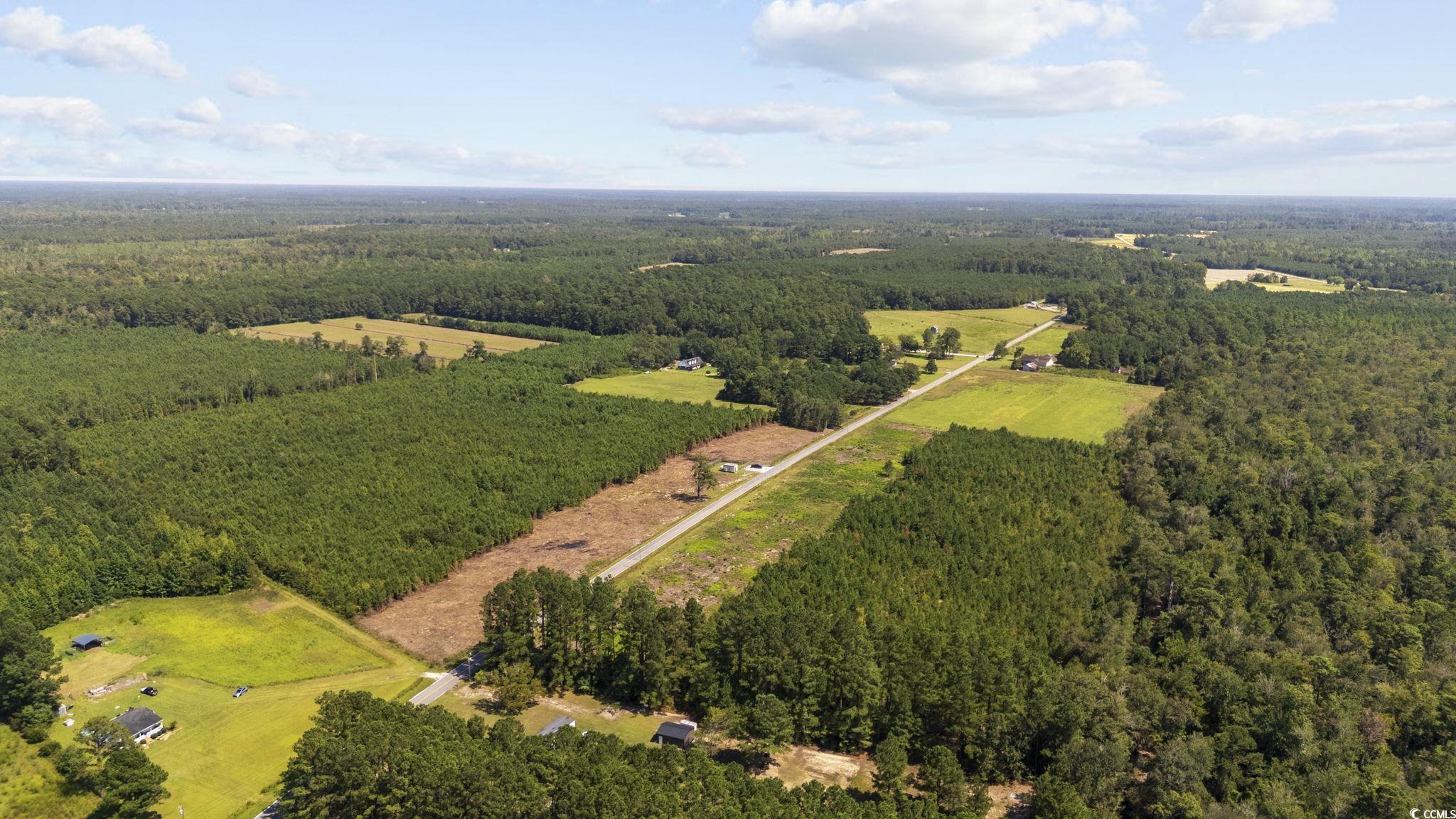 LOT 8 Black Creek Rd., Nichols, South Carolina image 8