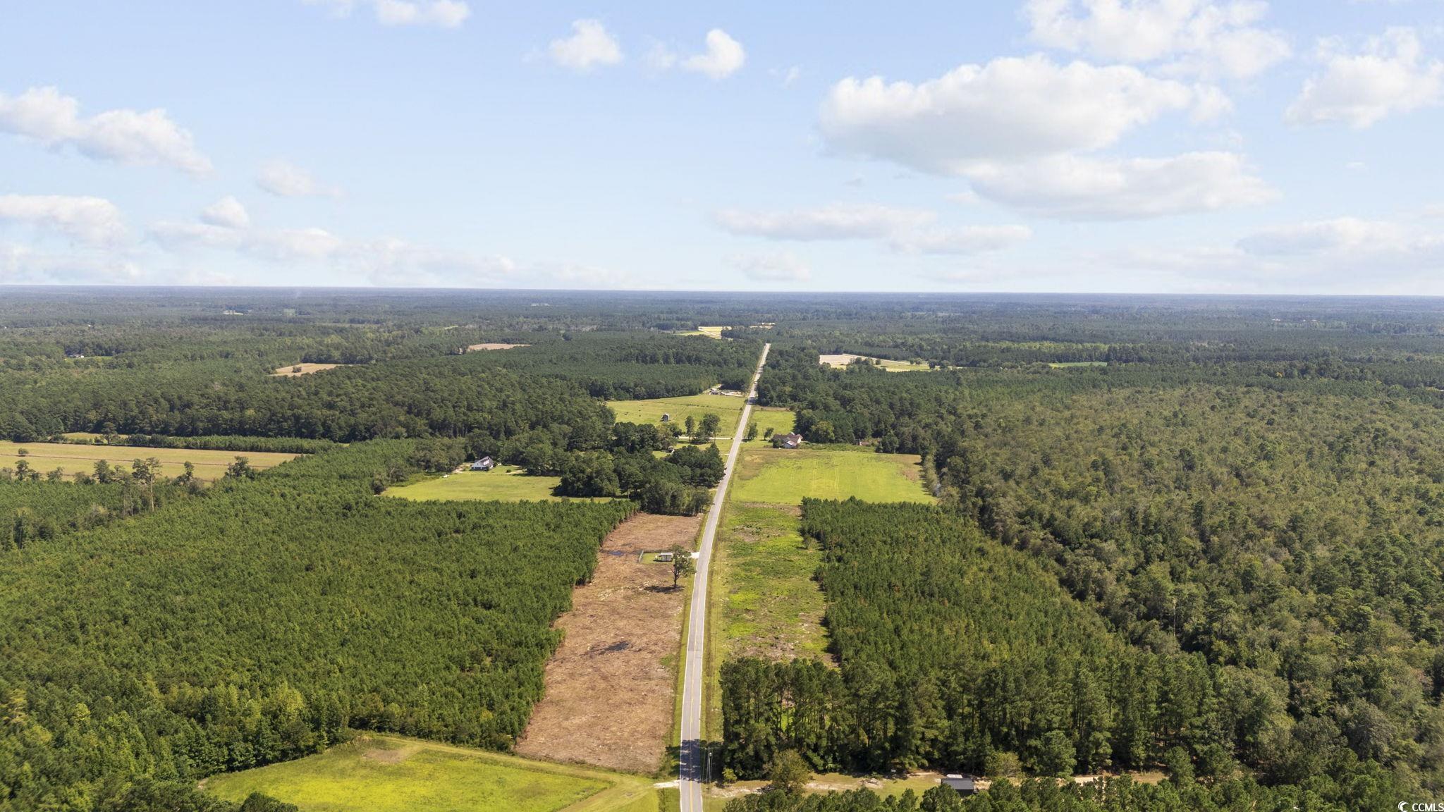 LOT 10 Black Creek Rd., Nichols, South Carolina image 8