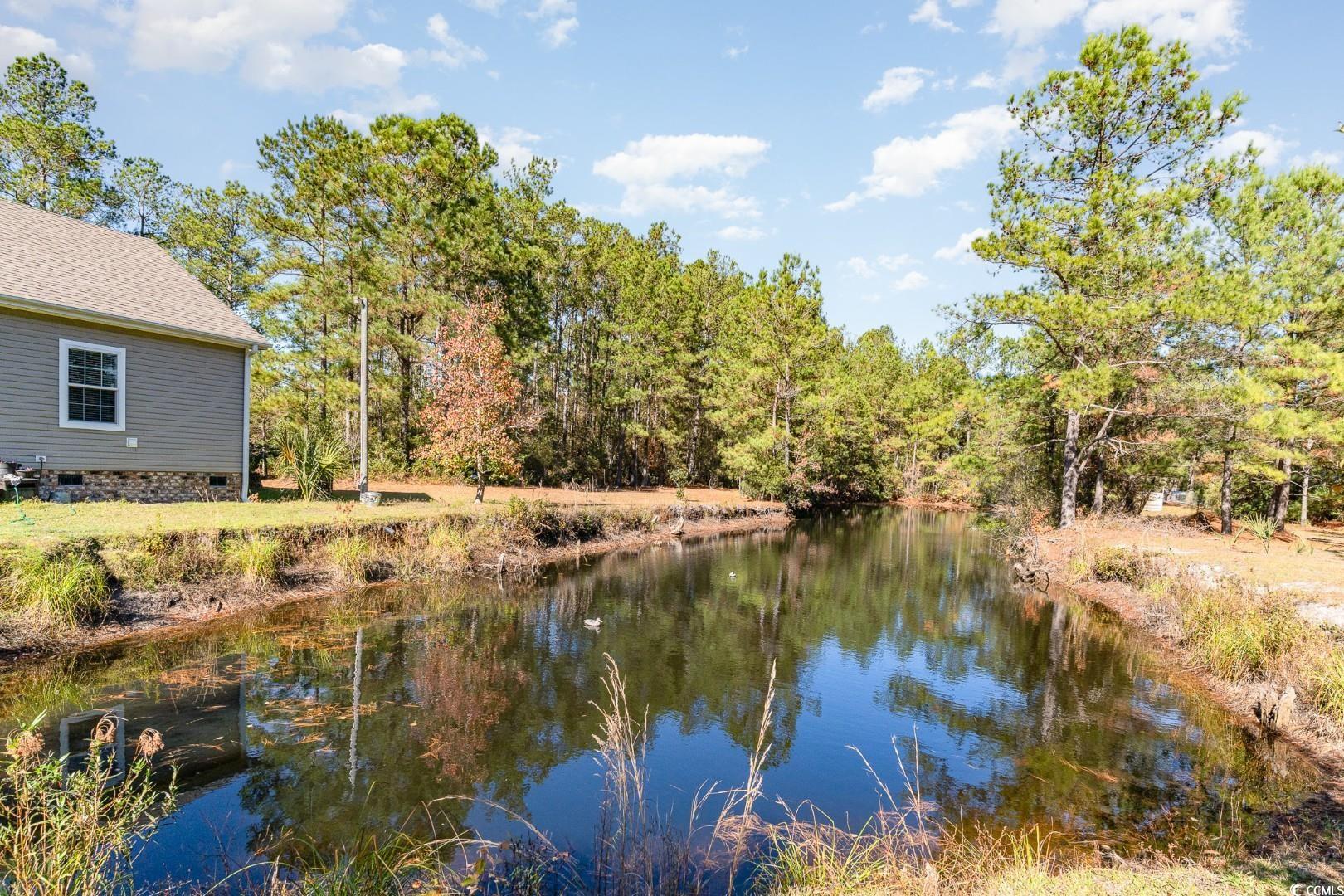 5373 Highway 66, Loris, South Carolina image 33