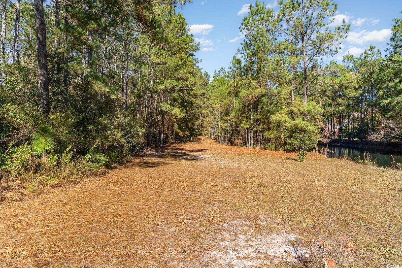 5373 Highway 66, Loris, South Carolina image 34