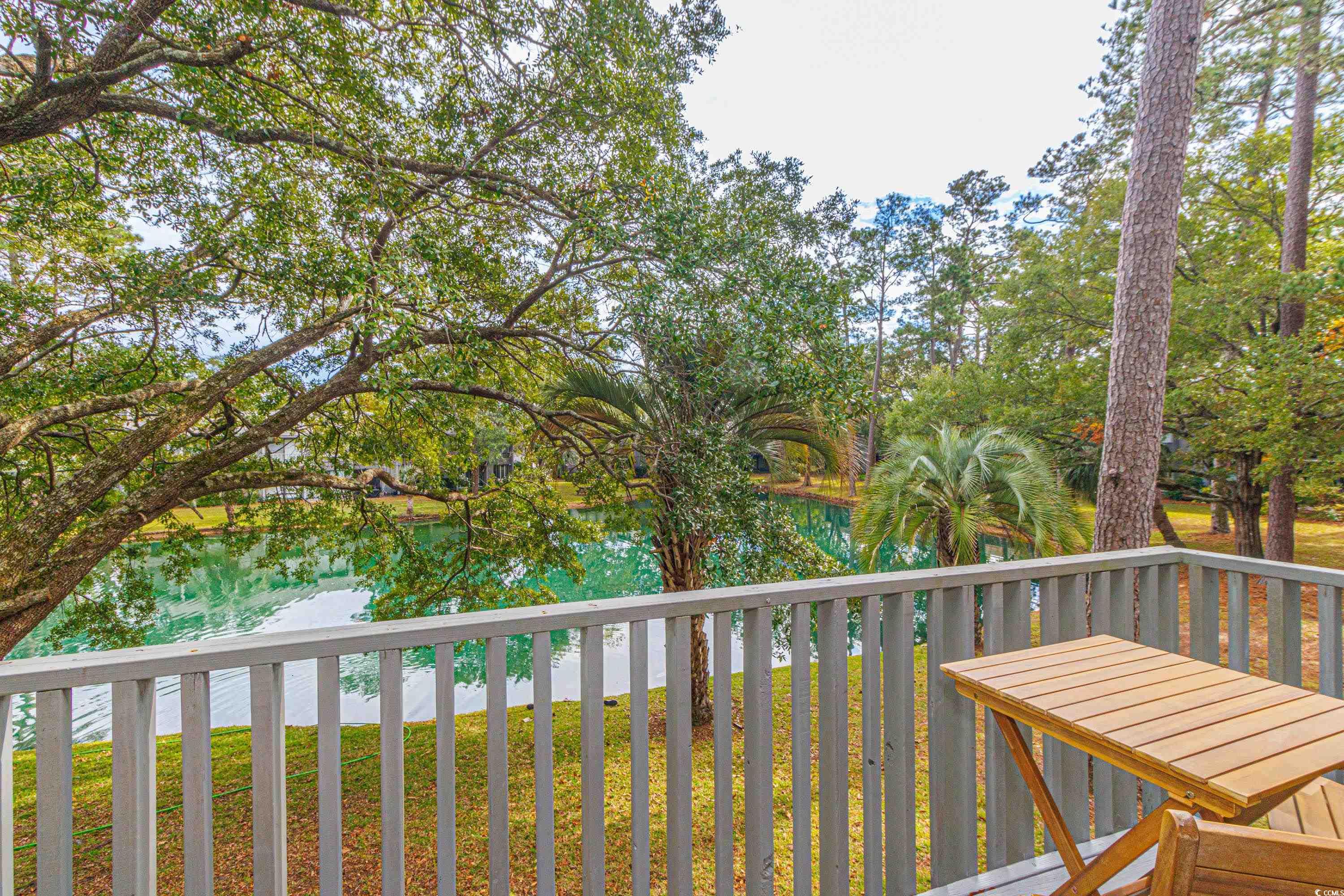 77 Salt Marsh Circle #18E, Pawleys Island, South Carolina image 11