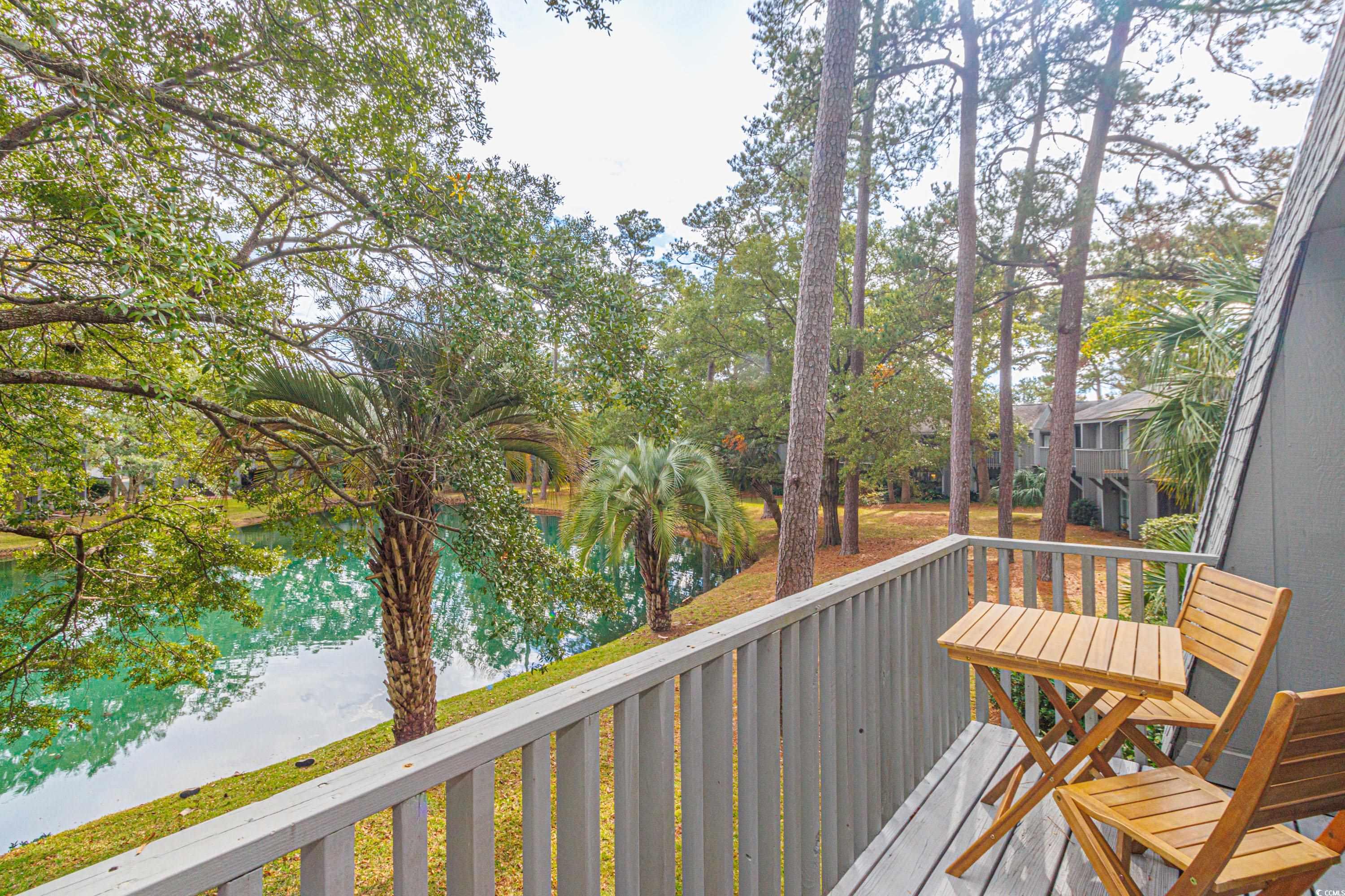 77 Salt Marsh Circle #18E, Pawleys Island, South Carolina image 12