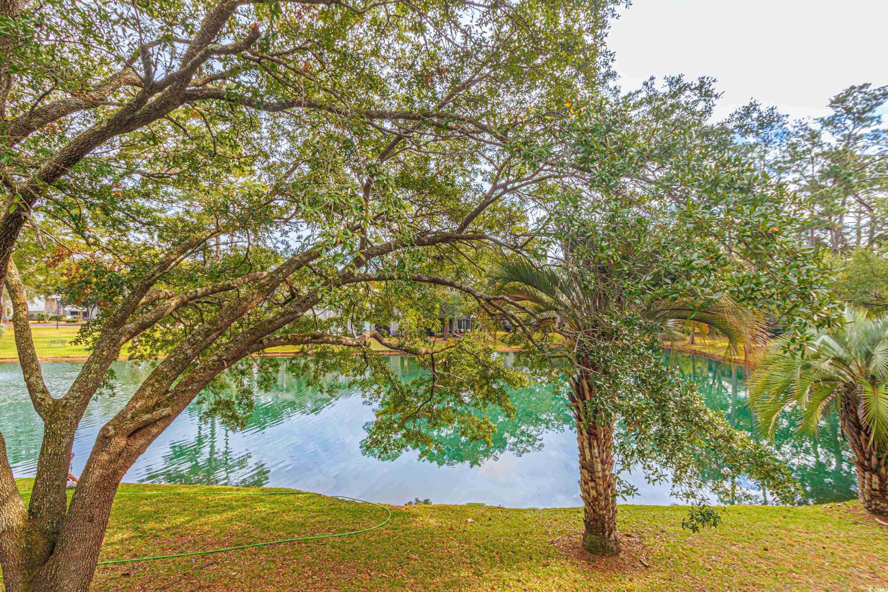 77 Salt Marsh Circle #18E, Pawleys Island, South Carolina image 14