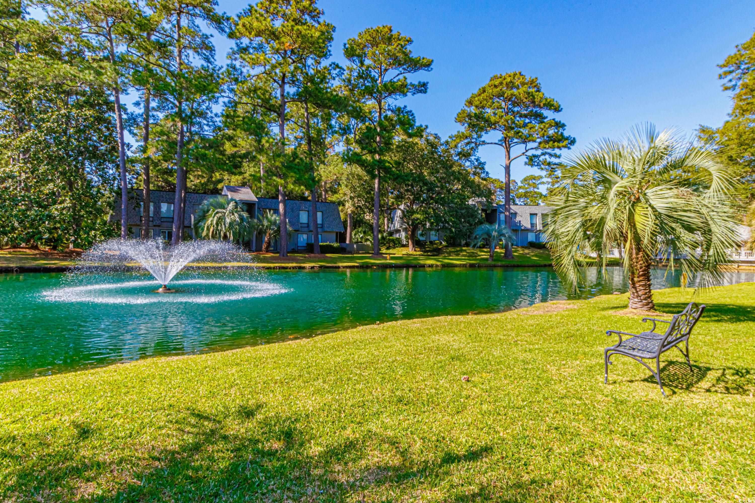 77 Salt Marsh Circle #18E, Pawleys Island, South Carolina image 34