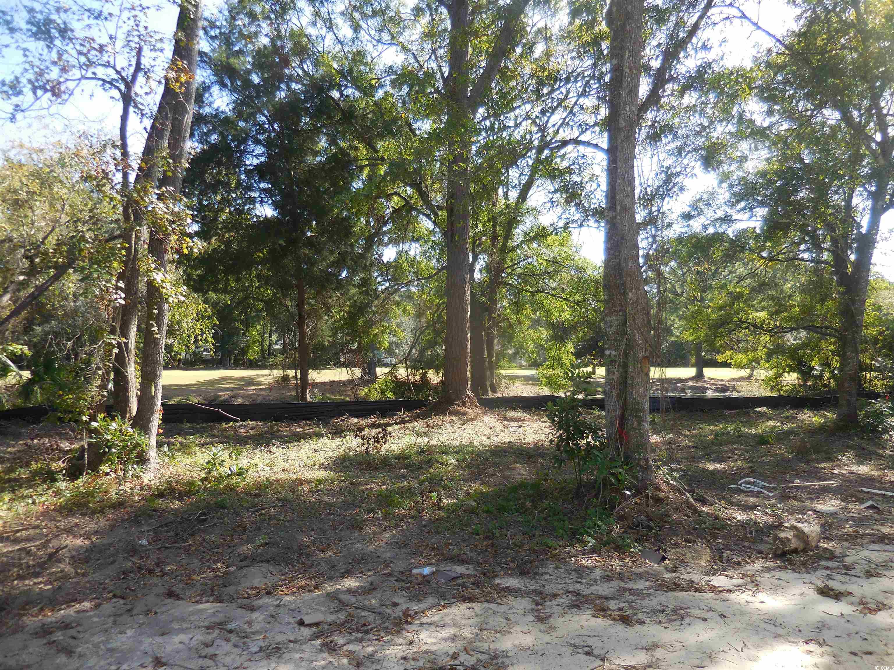 1521 Hawthorn Dr., Pawleys Island, South Carolina image 4