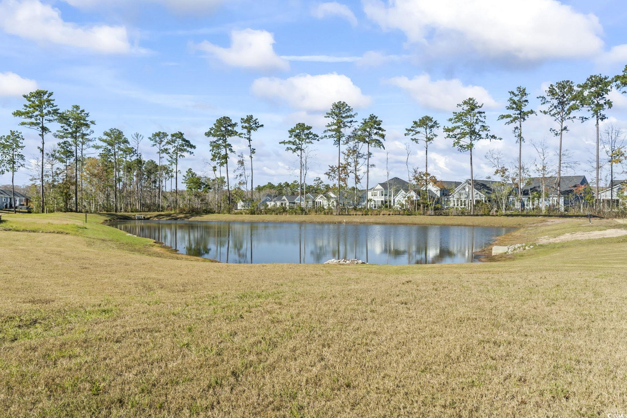 2034 Comradery Way, Murrells Inlet, South Carolina image 28