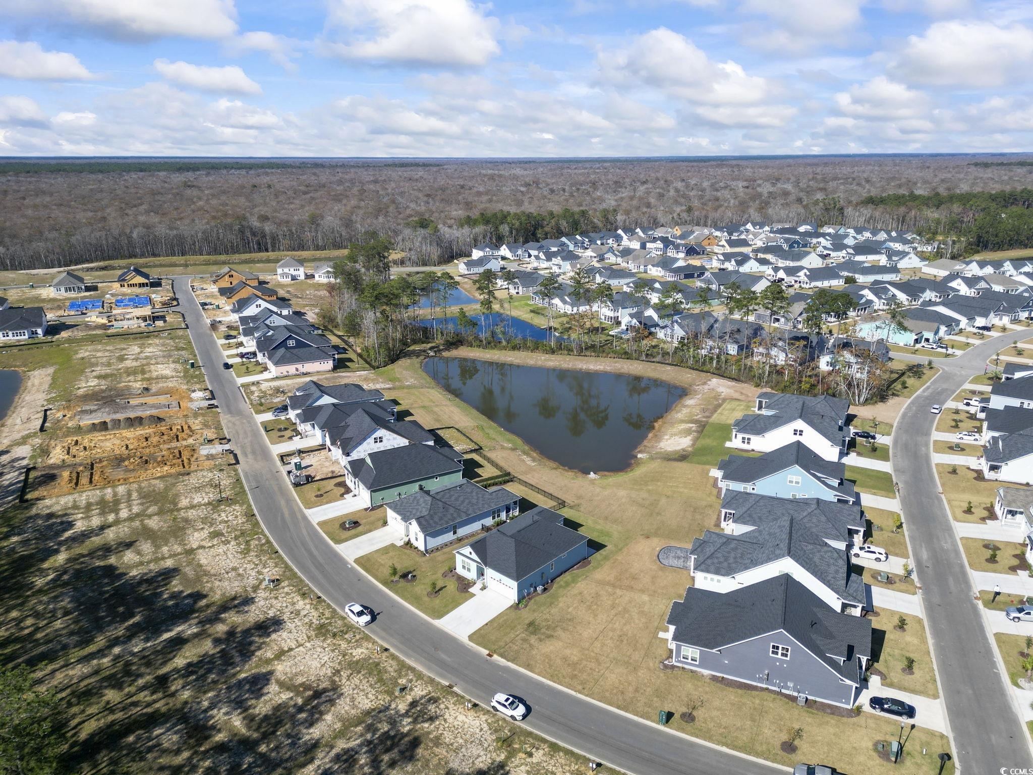 2034 Comradery Way, Murrells Inlet, South Carolina image 31