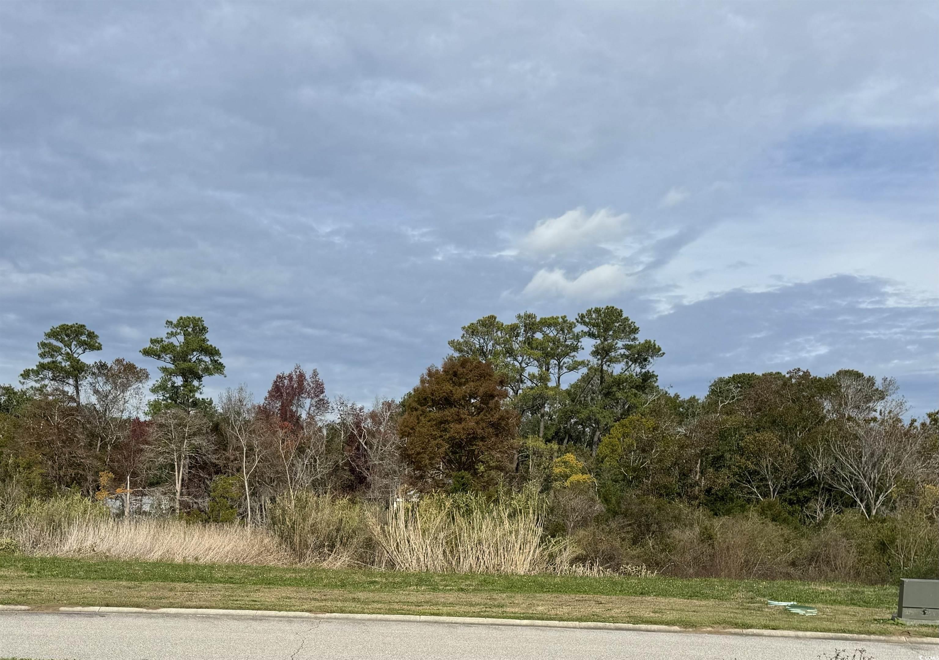 TBD Craven St. Georgetown, SC 29440
