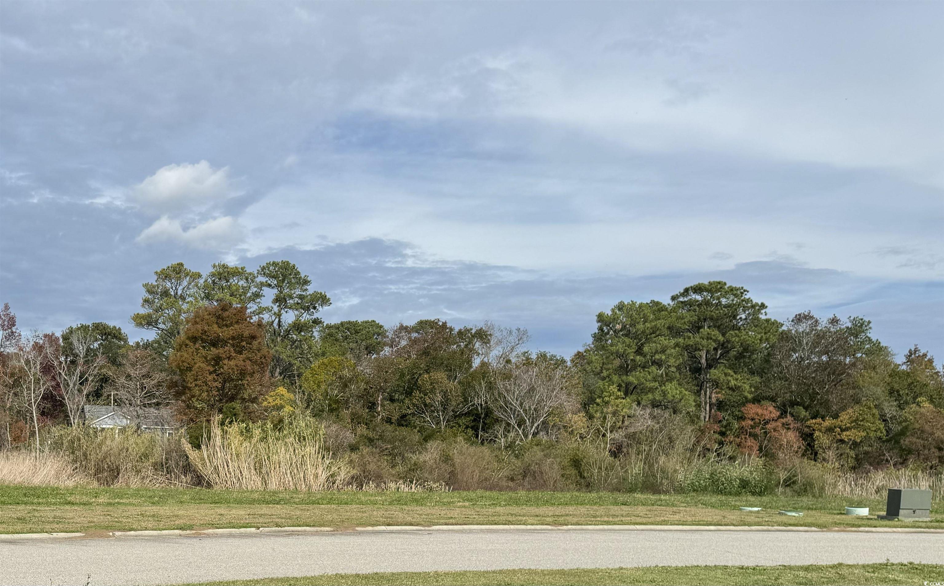 TBD Craven St., Georgetown, Texas image 2