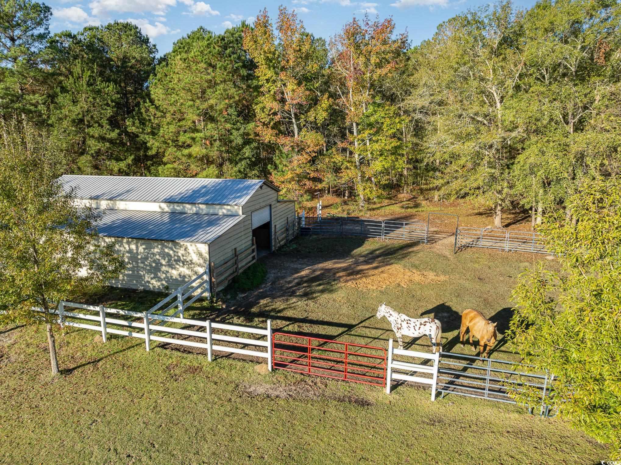 1555 Big Swamp Rd., Pamplico, South Carolina image 12