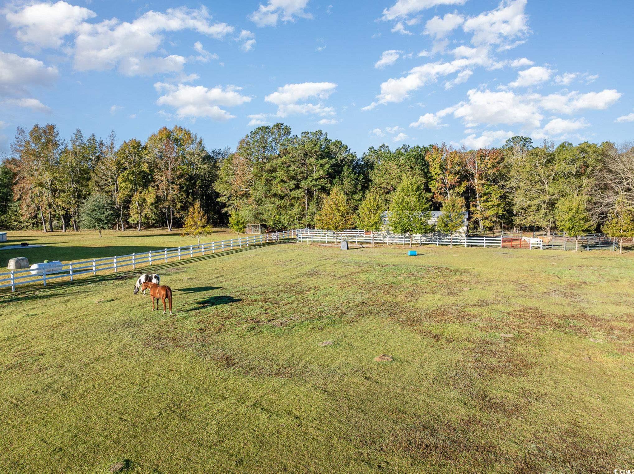 1555 Big Swamp Rd., Pamplico, South Carolina image 9